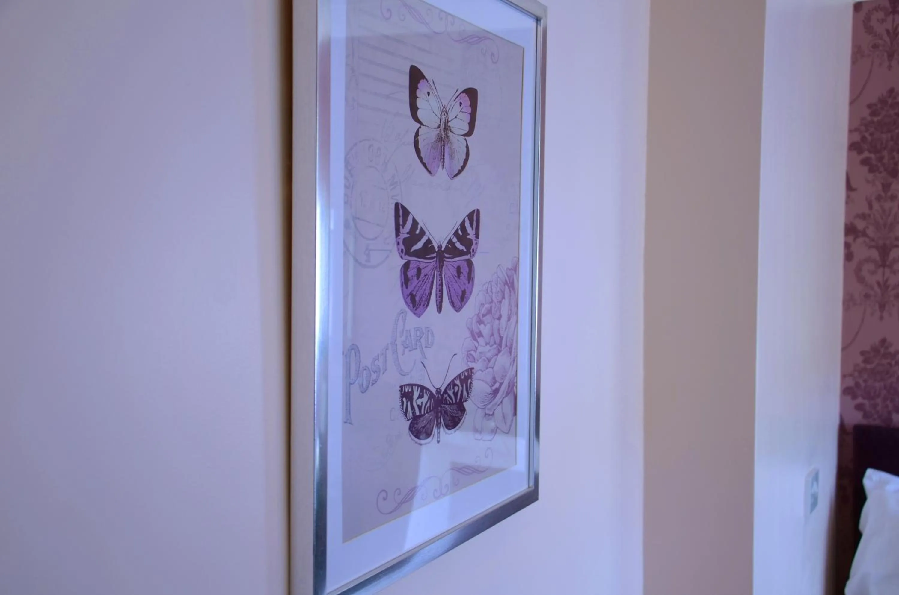 Logo/Certificate/Sign in The Lemonfield Hotel