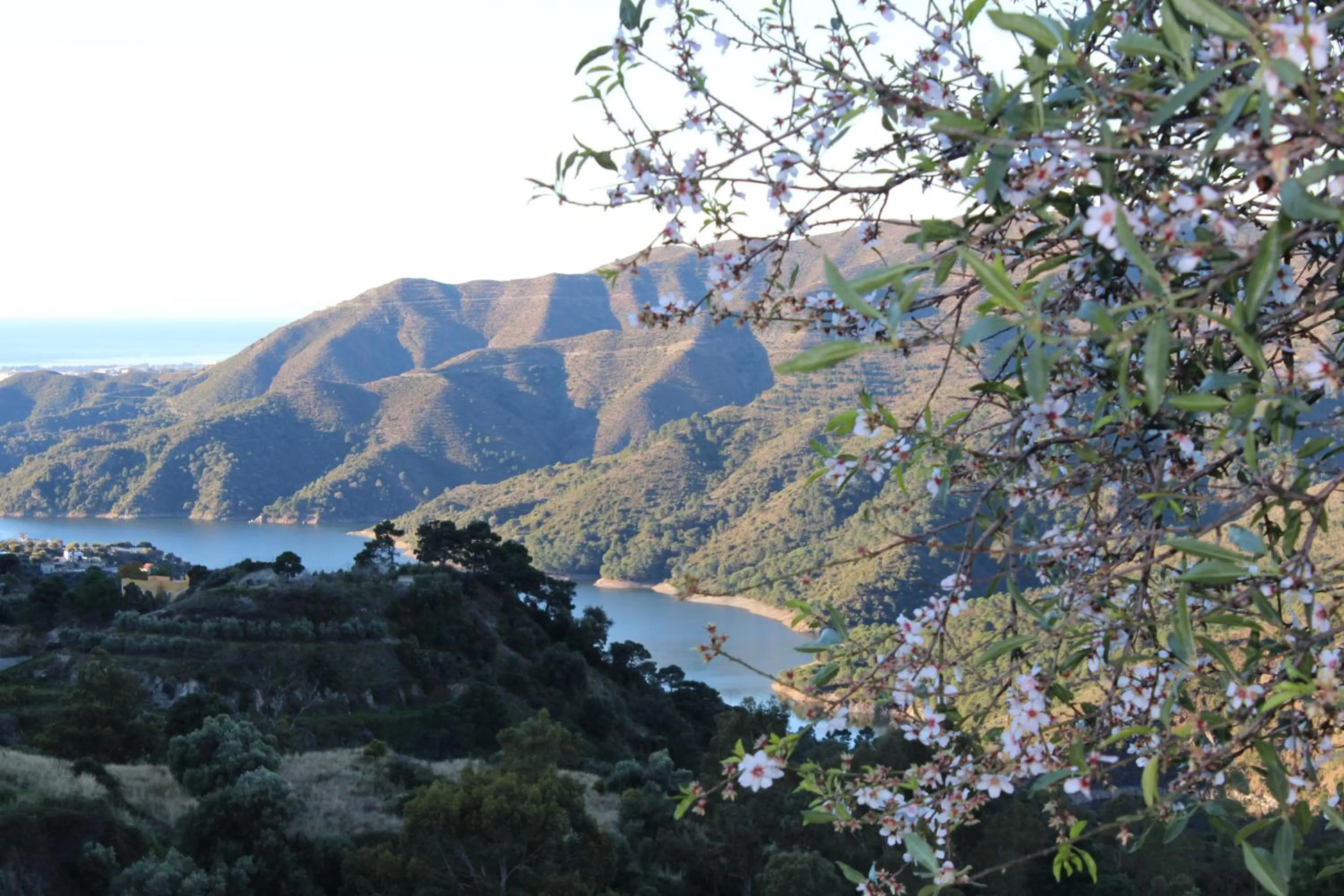 Natural landscape in Hotel Rural Los Jarales