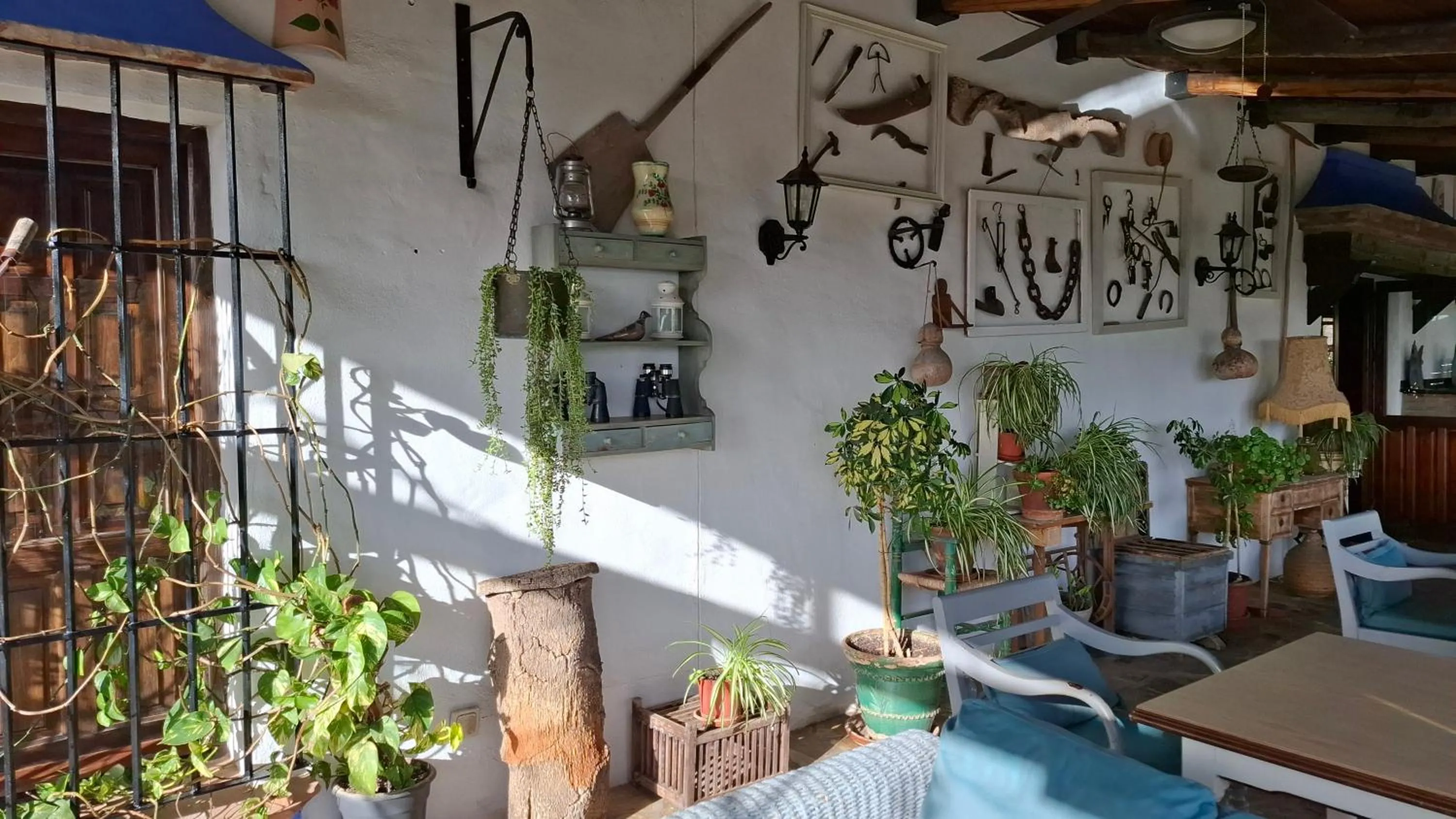 Patio in Hotel Rural Los Jarales