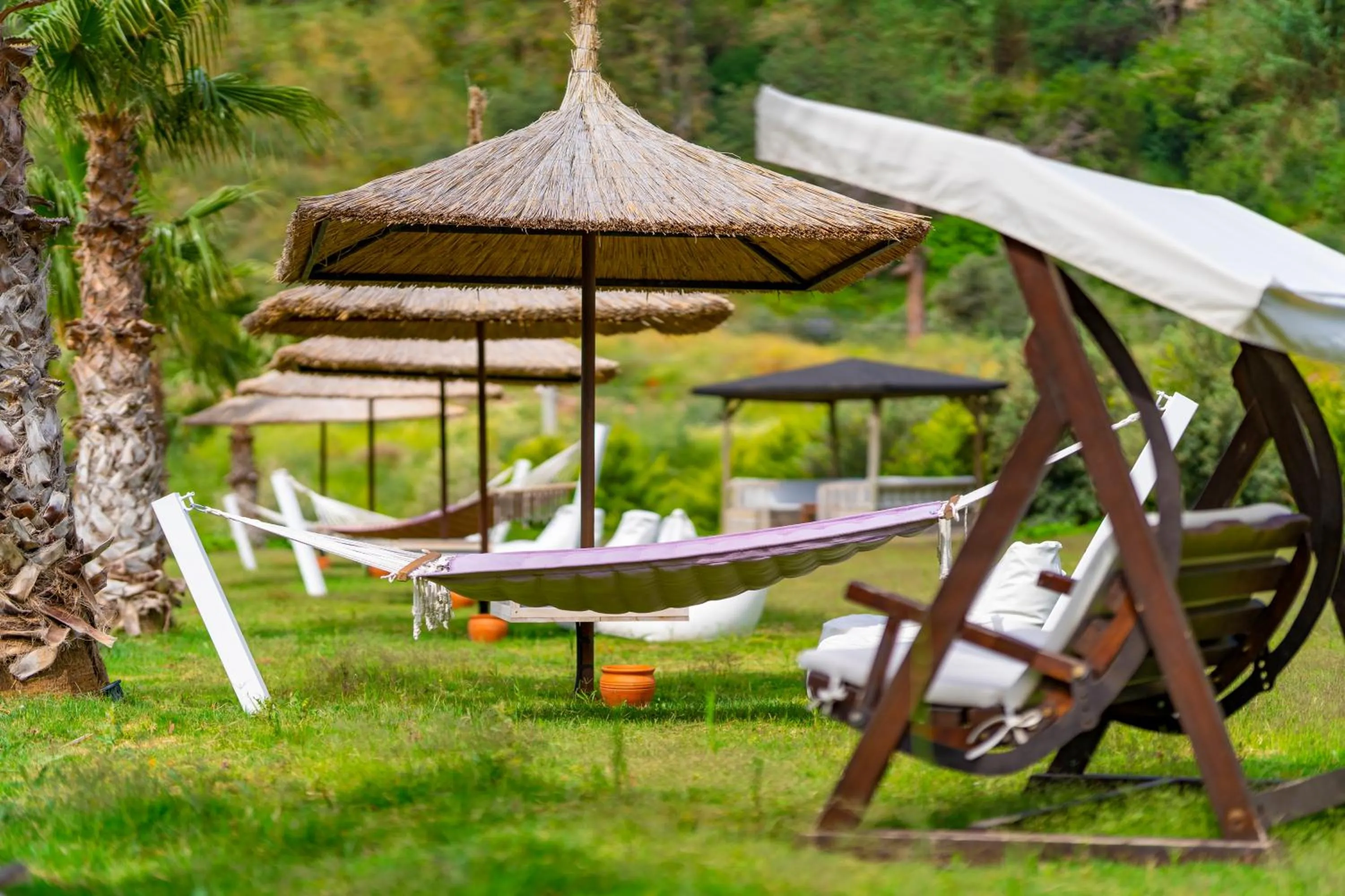 Garden in Manaspark Deluxe Hotel