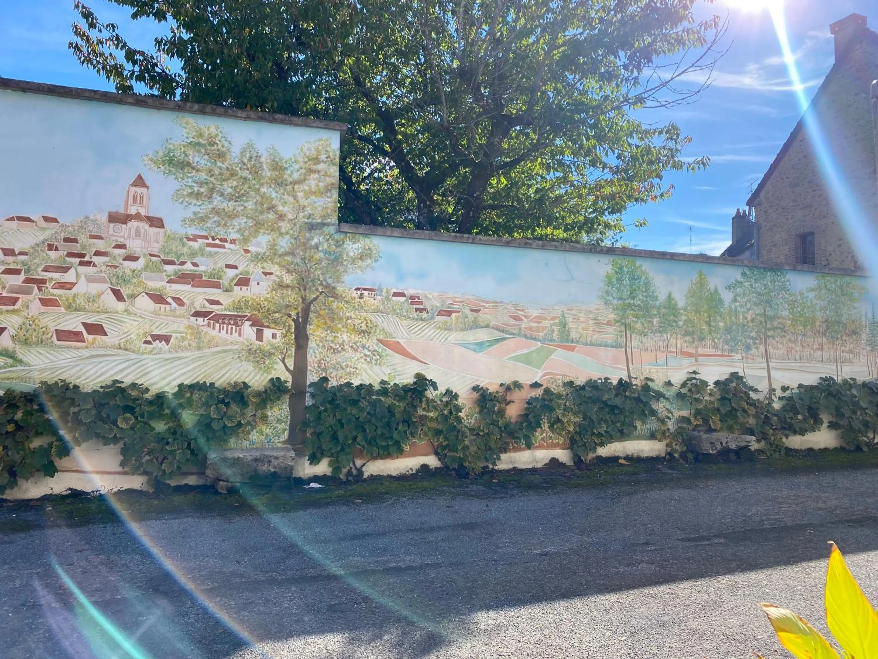 Day in Domaine du Cellier de la Couronne