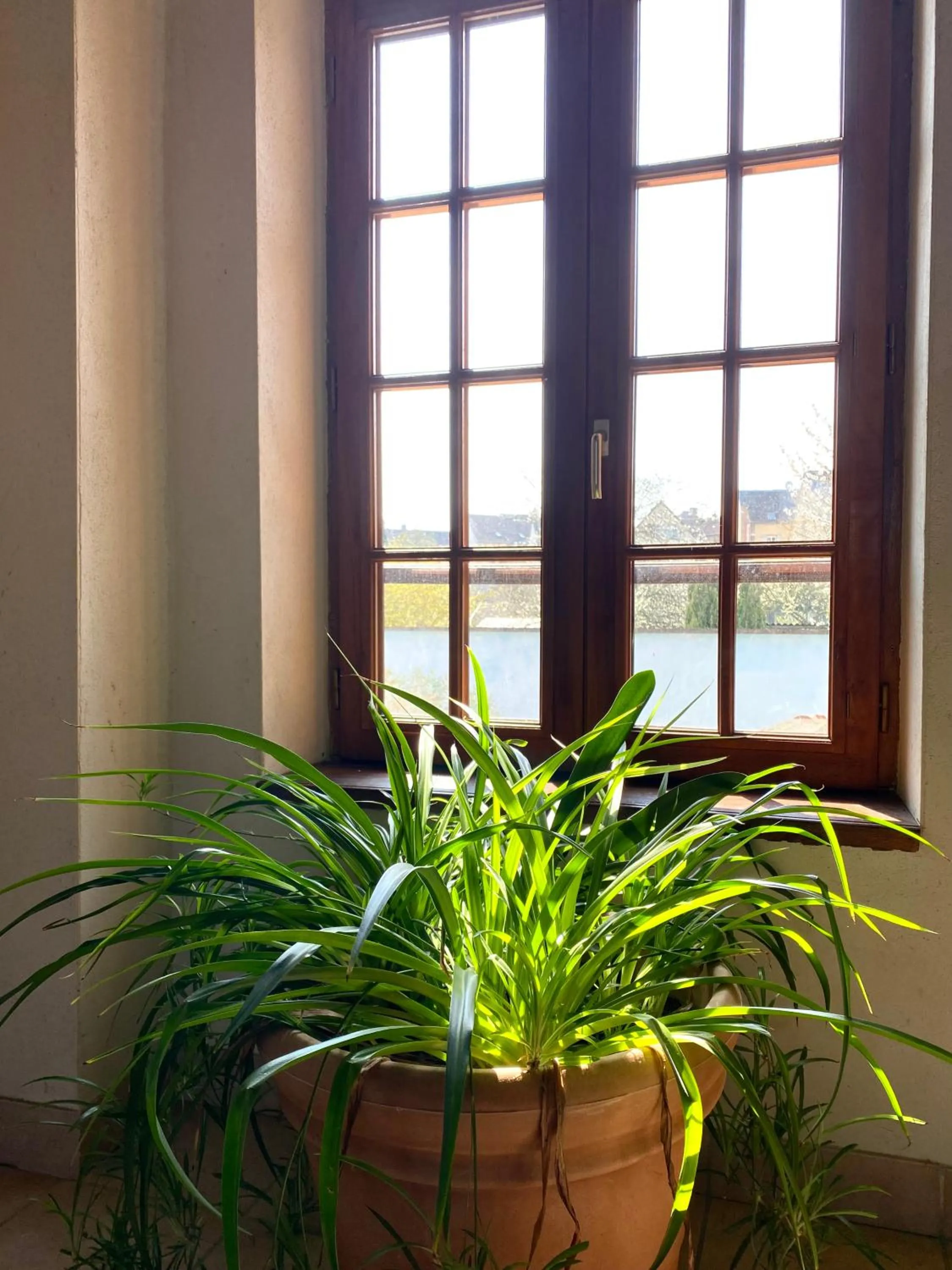 Day in Domaine du Cellier de la Couronne