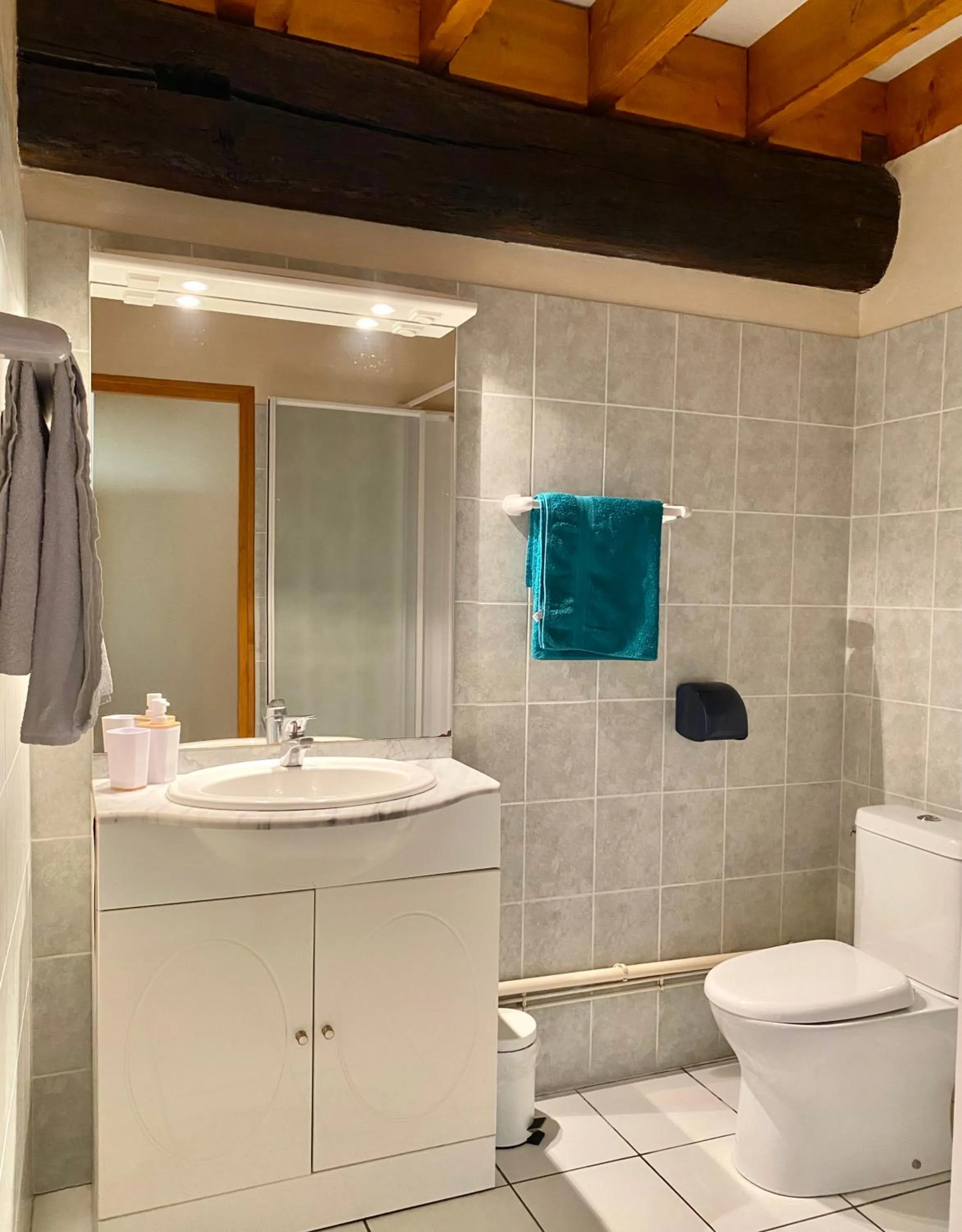 Shower in Domaine du Cellier de la Couronne