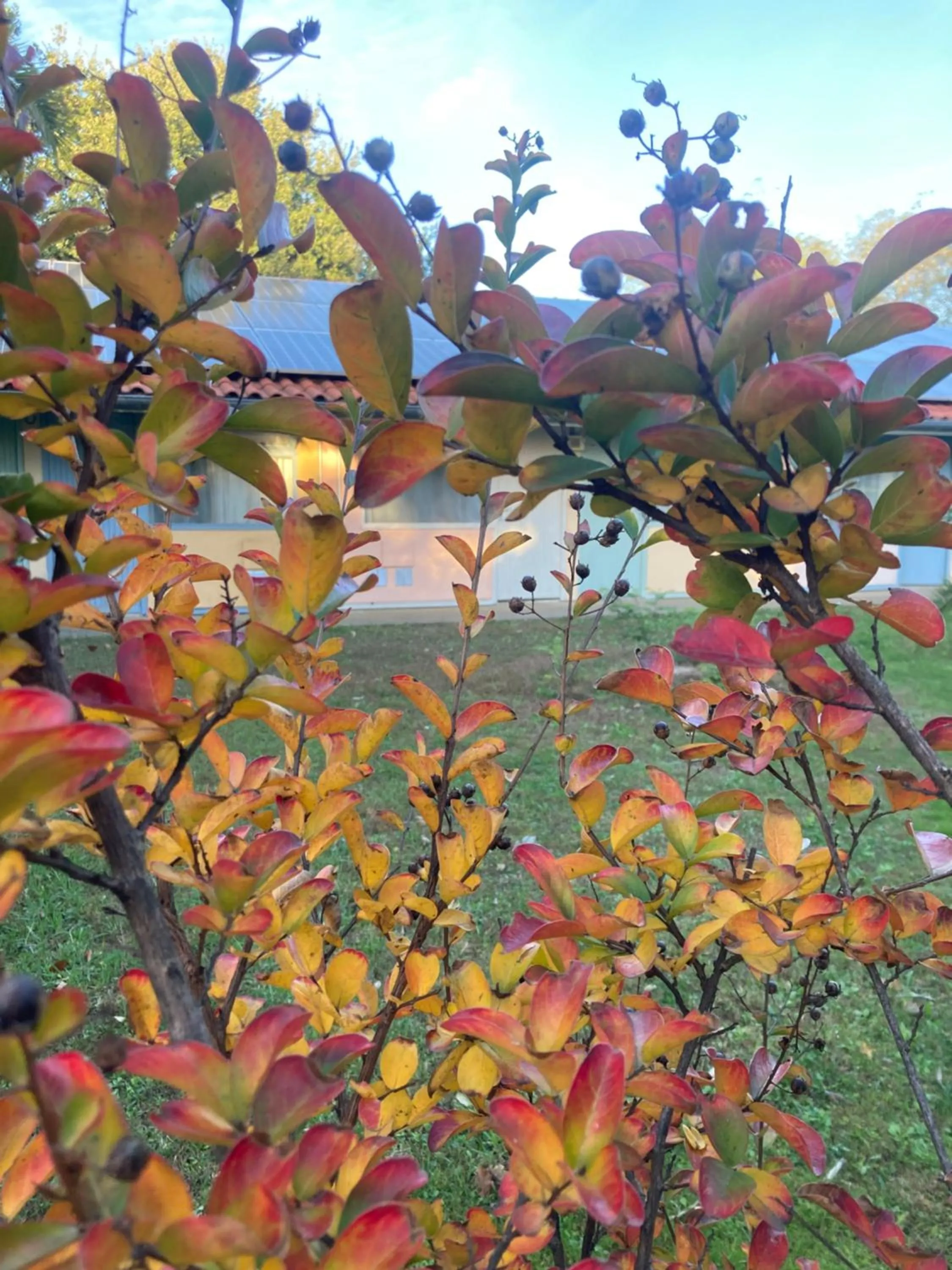 Property building in Résidence Thibaud