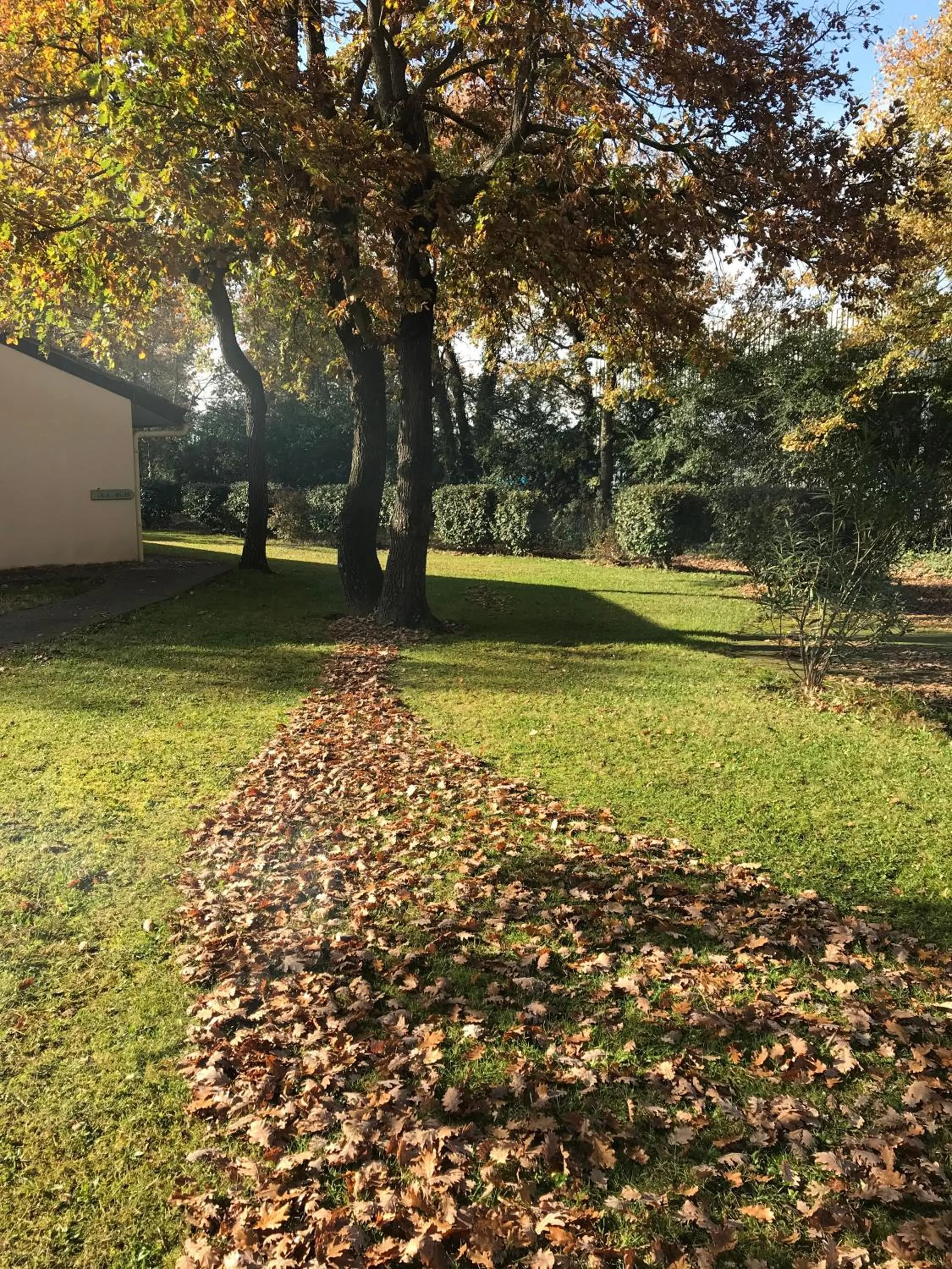 Property building in Résidence Thibaud