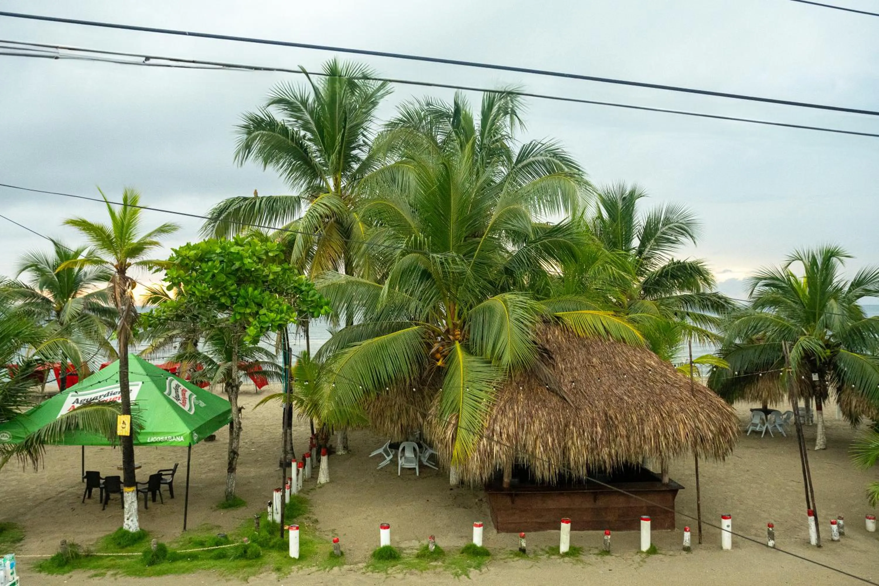 Garden in Hotel Playa Divina
