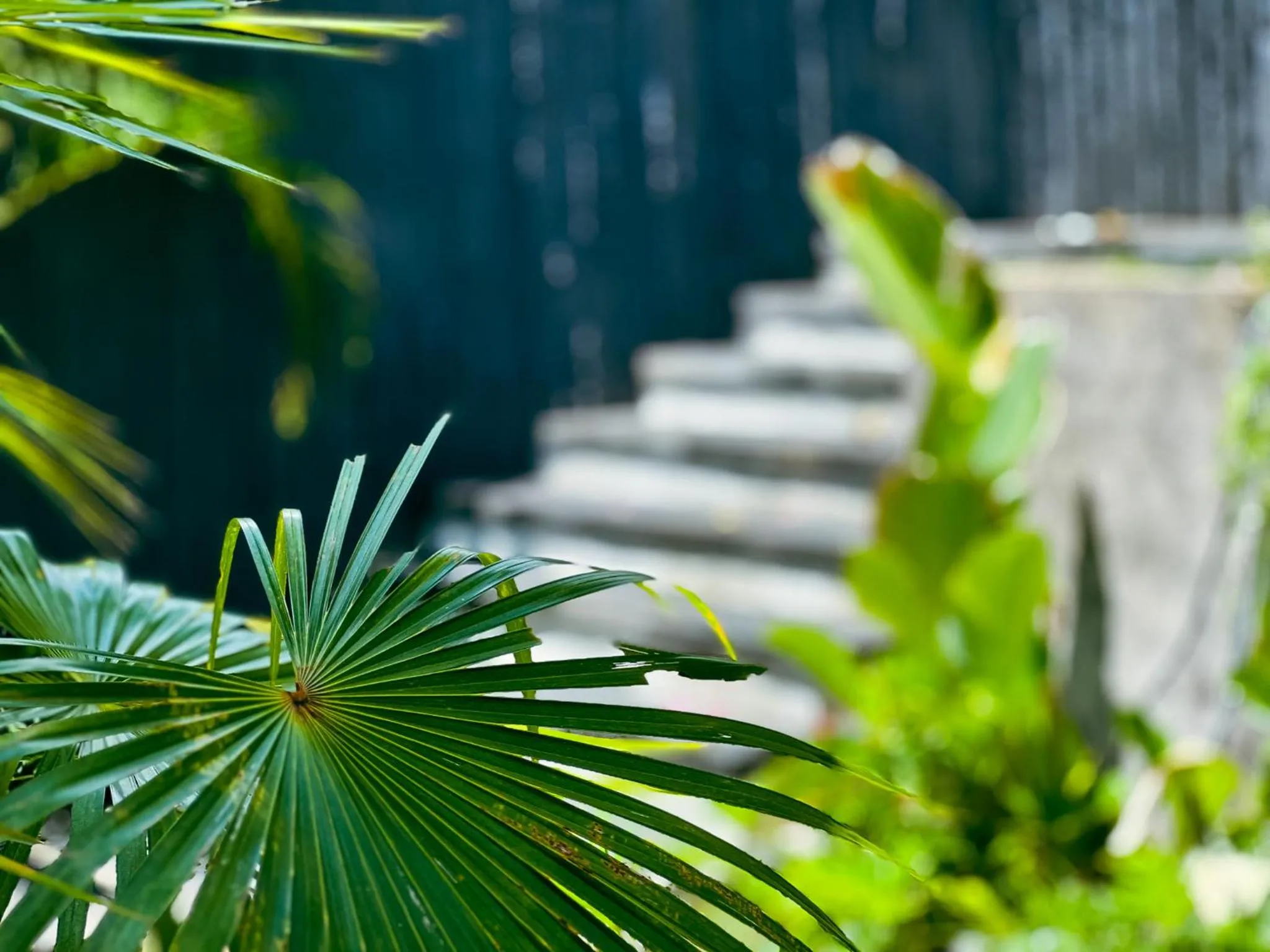 Garden in ONAYA Bali Resort - Adults Only