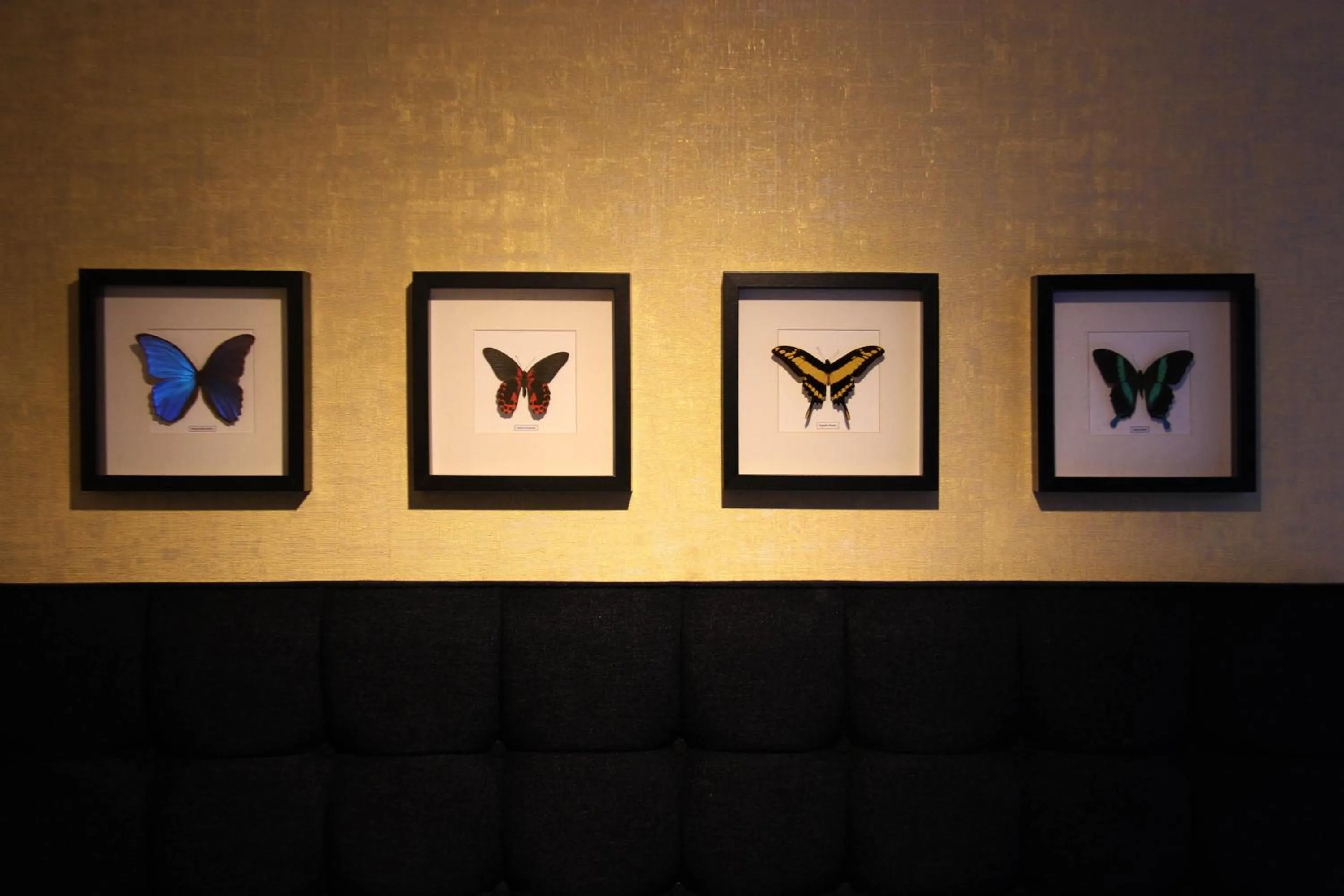 Decorative detail in House of Freddy