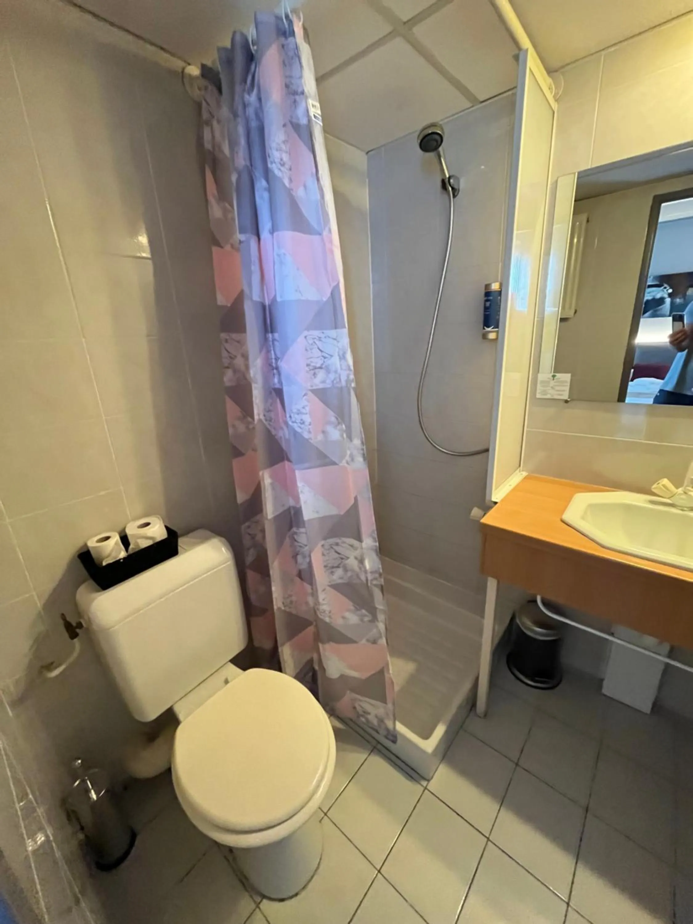 Bathroom in BRIT HOTEL LE VESOUL