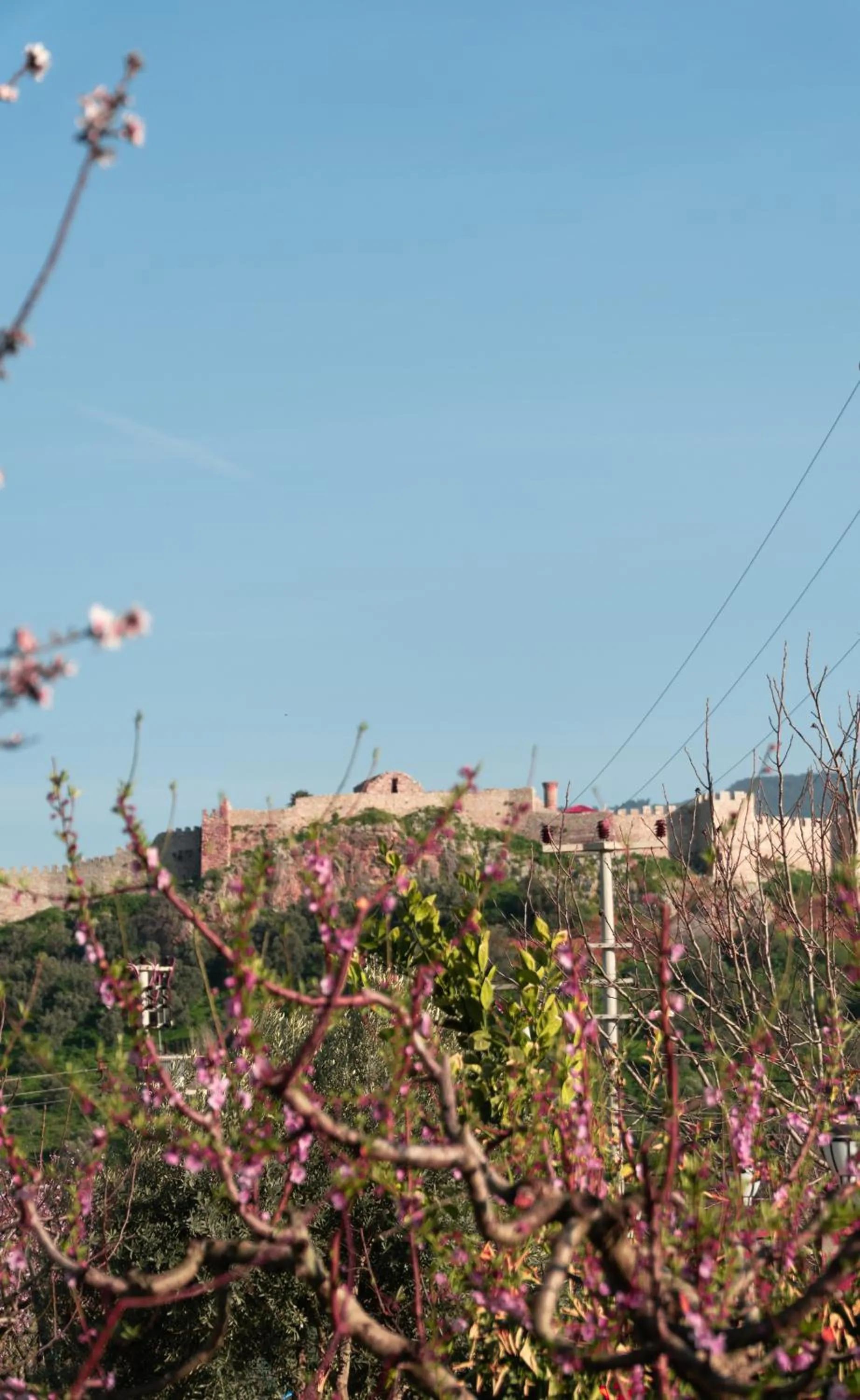 Landmark view in Mandalin Glamping