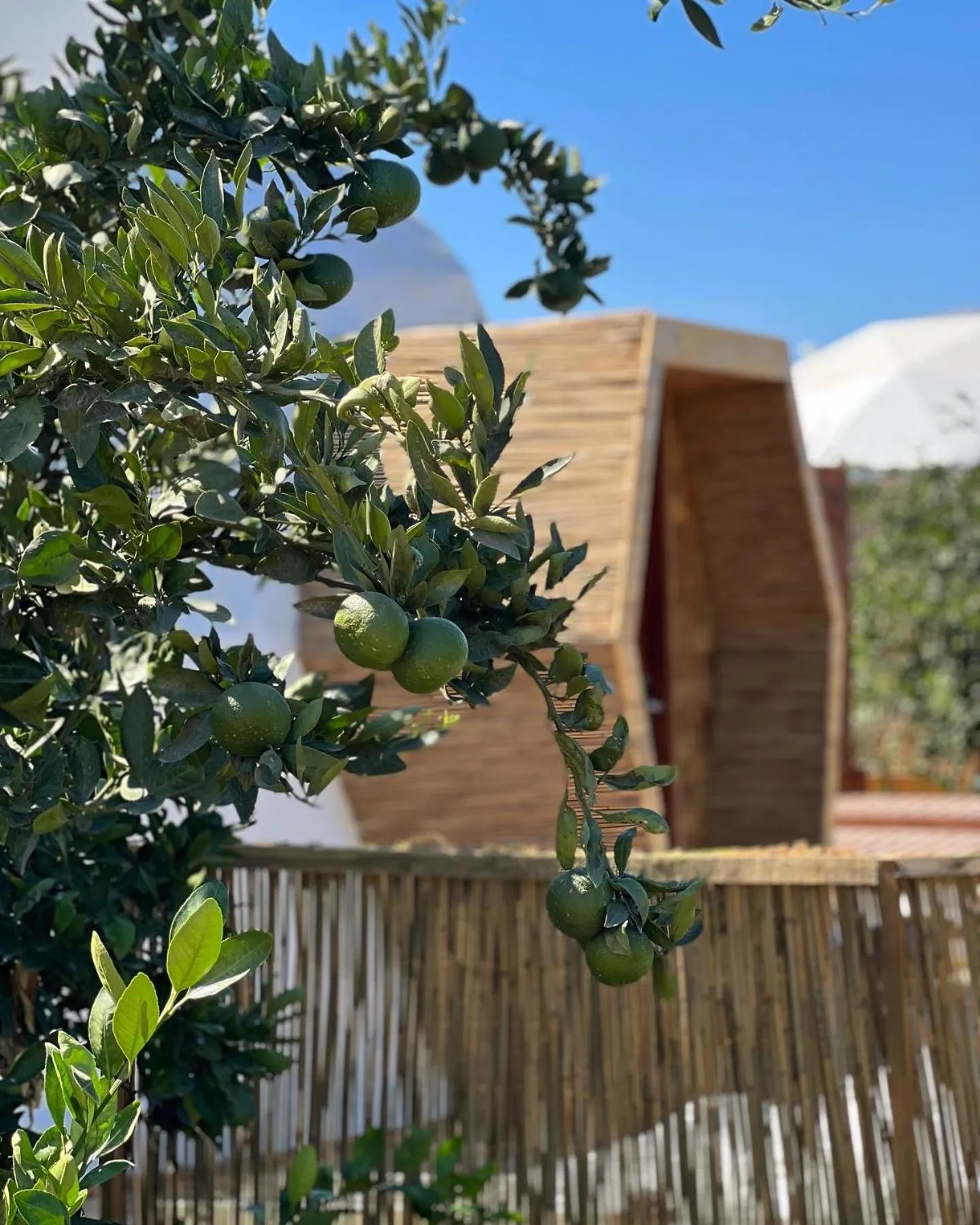 Natural landscape in Mandalin Glamping