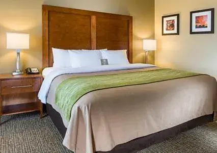 King Room - Accessible/Non-Smoking in Comfort Inn Midland South I-20 King Room - Accessible/Non-Smoking in Comfort Inn Midland South I-20