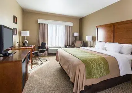 King Room - Non-Smoking in Comfort Inn Midland South I-20 King Room - Non-Smoking in Comfort Inn Midland South I-20