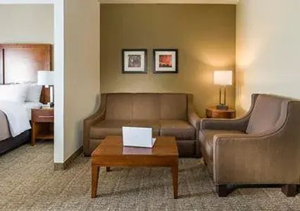 King Suite - Accessible/Non-Smoking in Comfort Inn Midland South I-20 King Suite - Accessible/Non-Smoking in Comfort Inn Midland South I-20