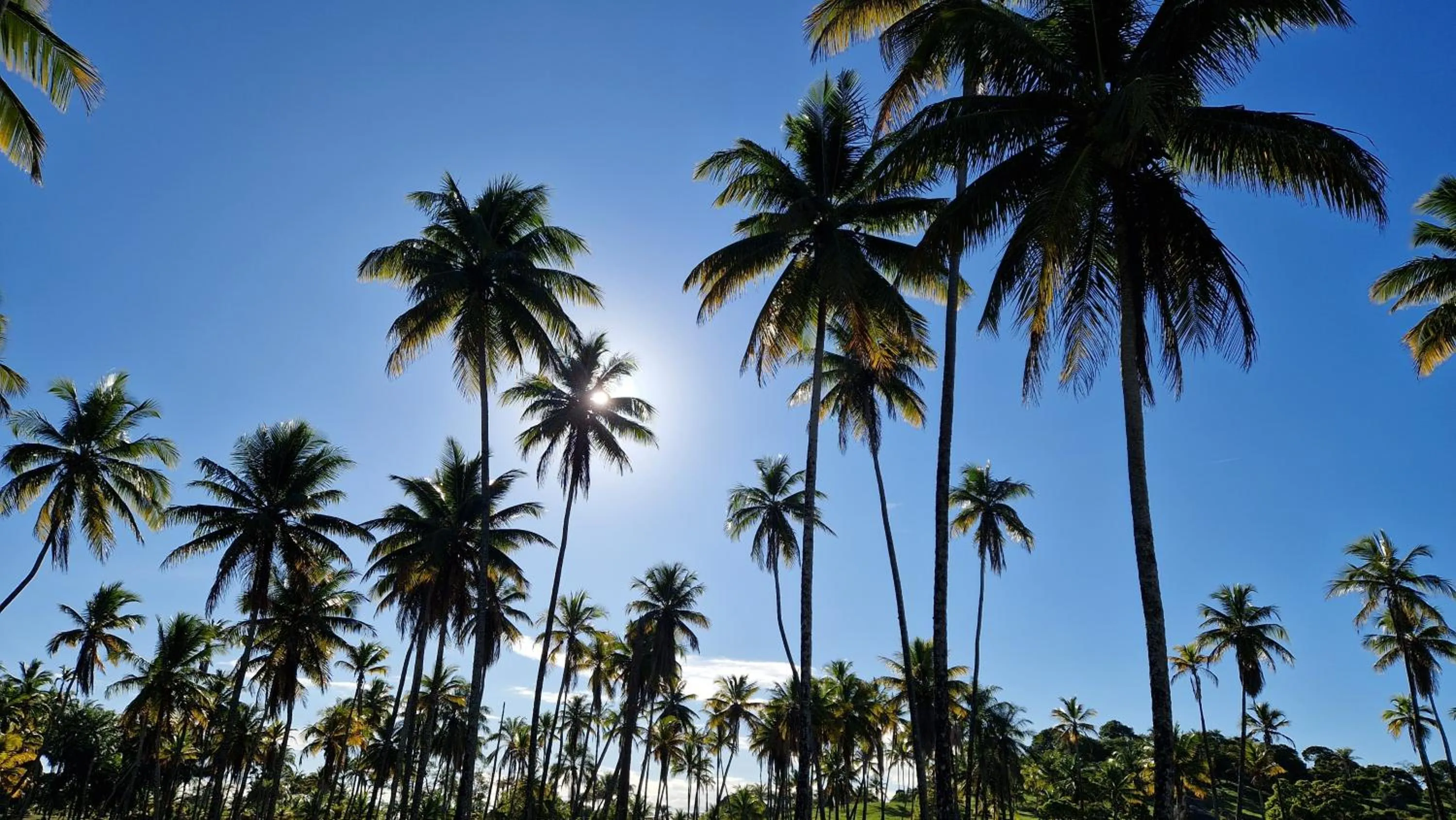 Natural landscape in Pousada Casa da Edinha