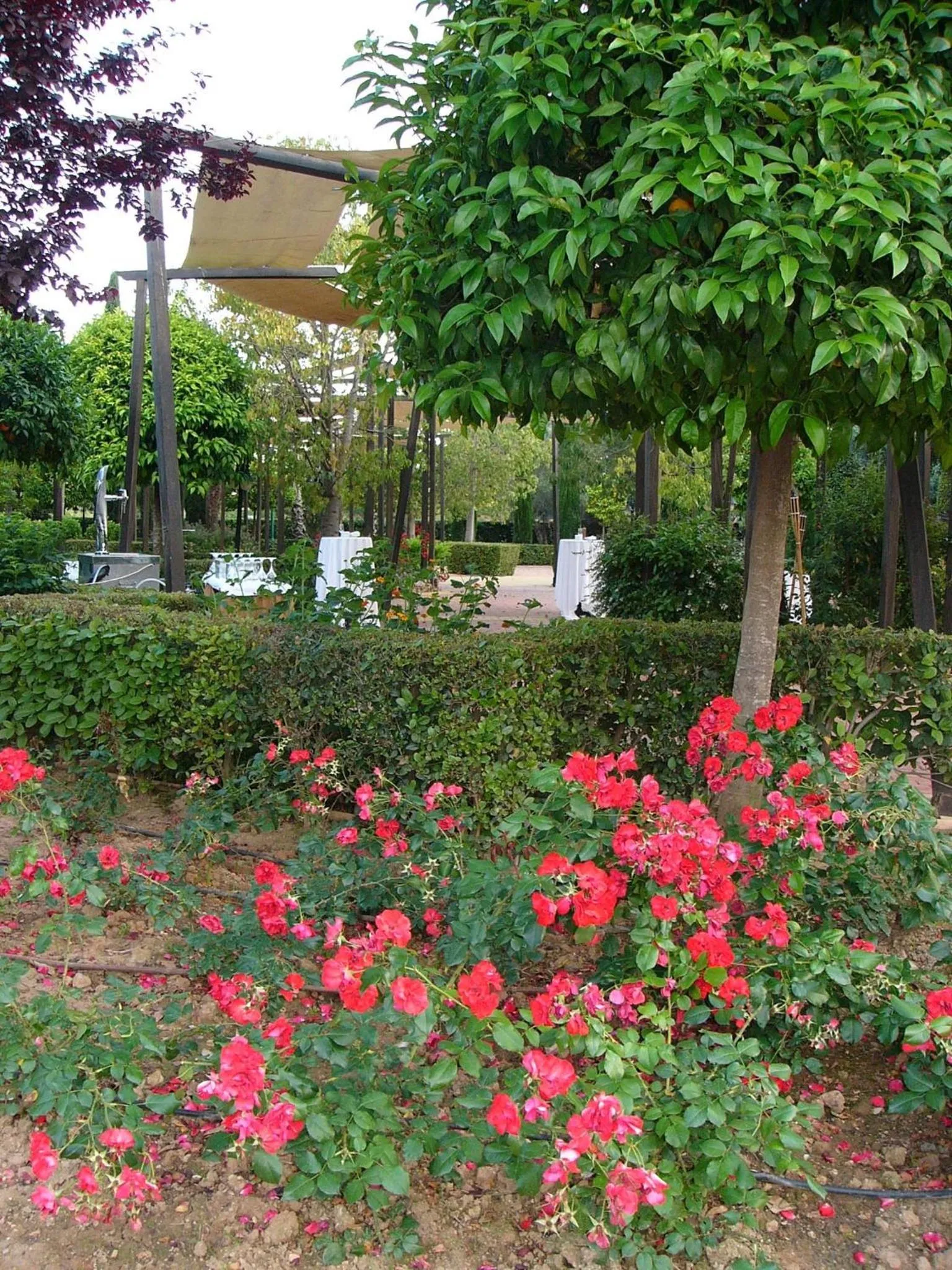 Garden in Ad Hoc Parque