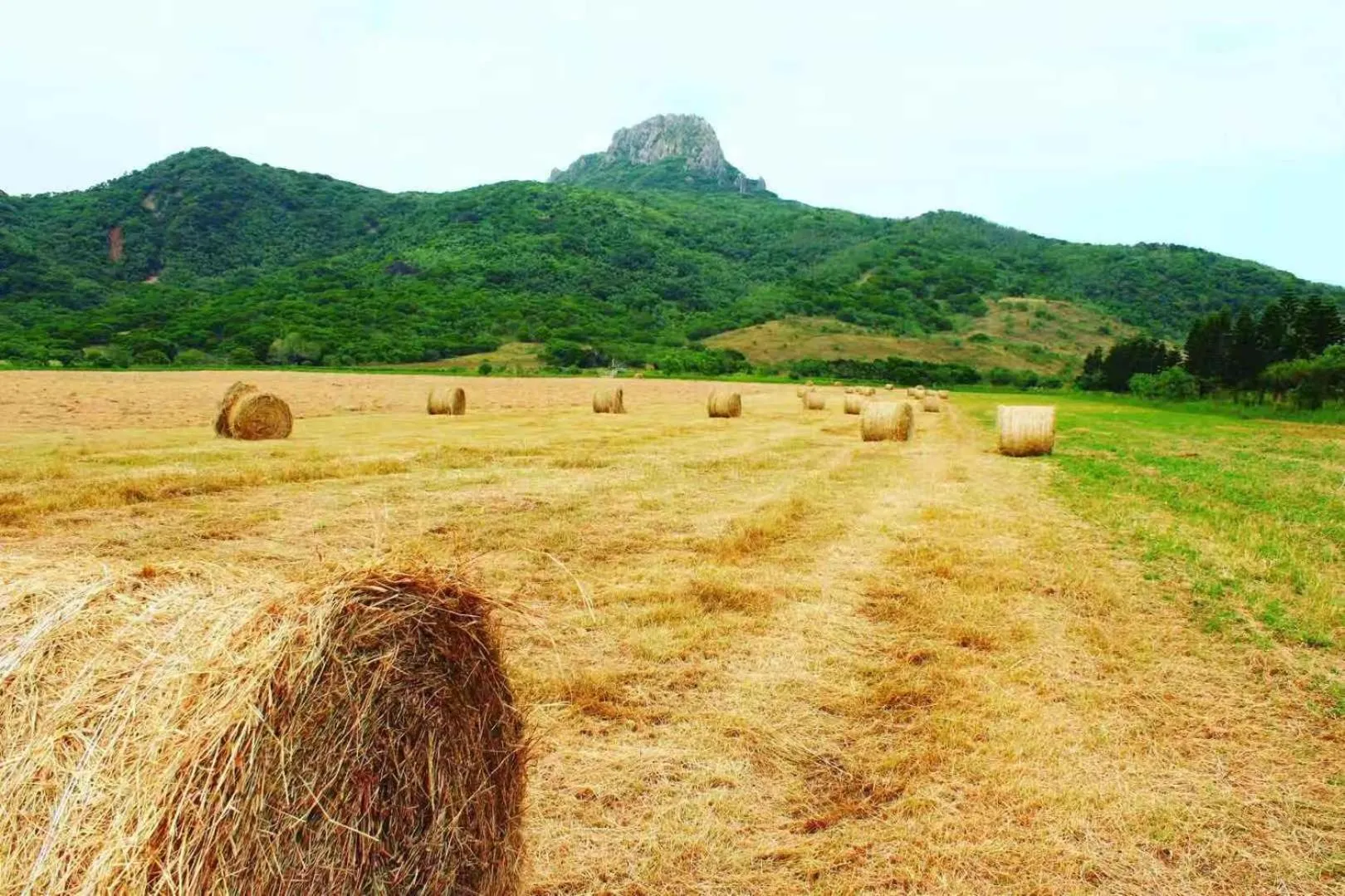 Day in Kenting Garden Homestay