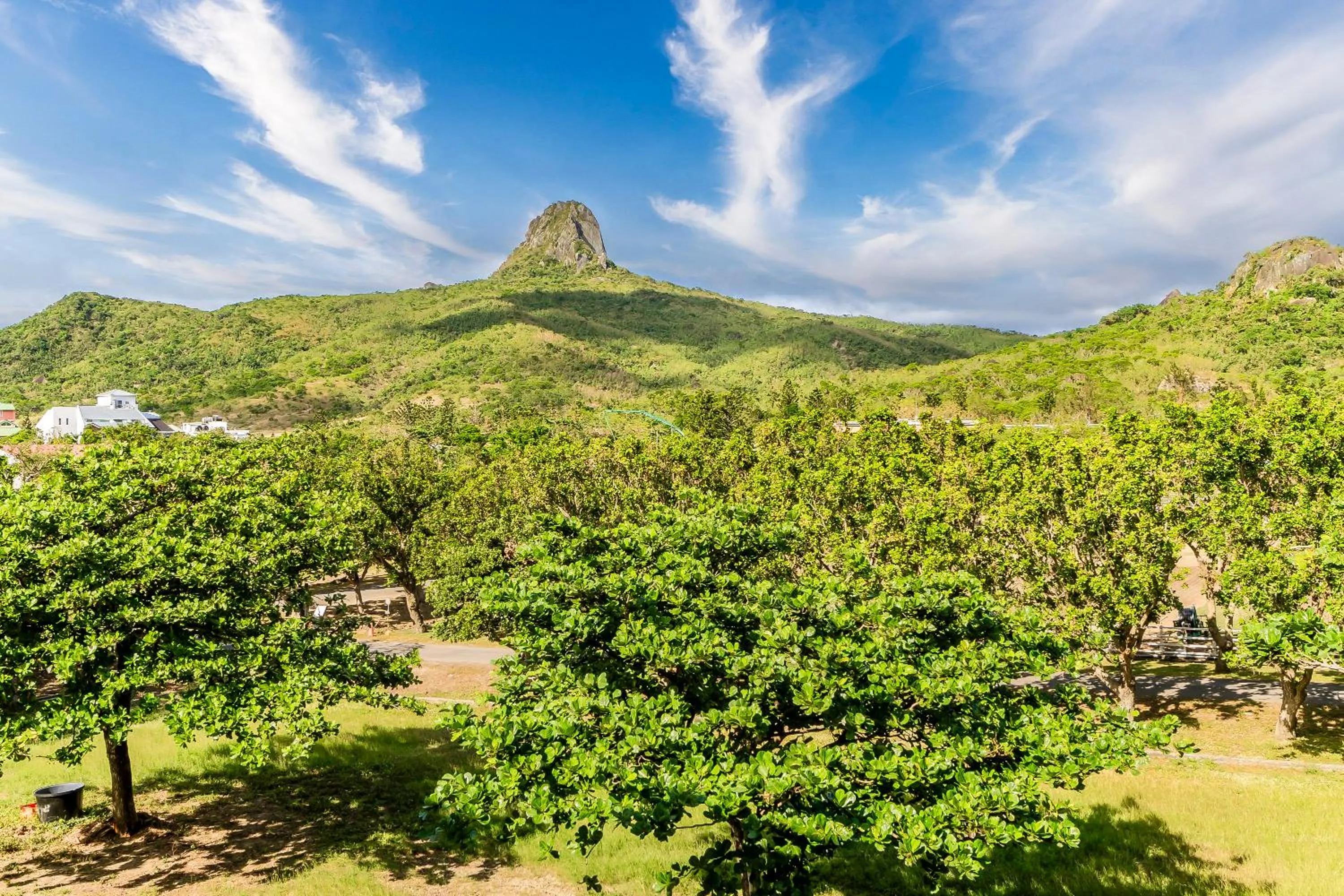 Mountain view in Wei Yuan Hotel