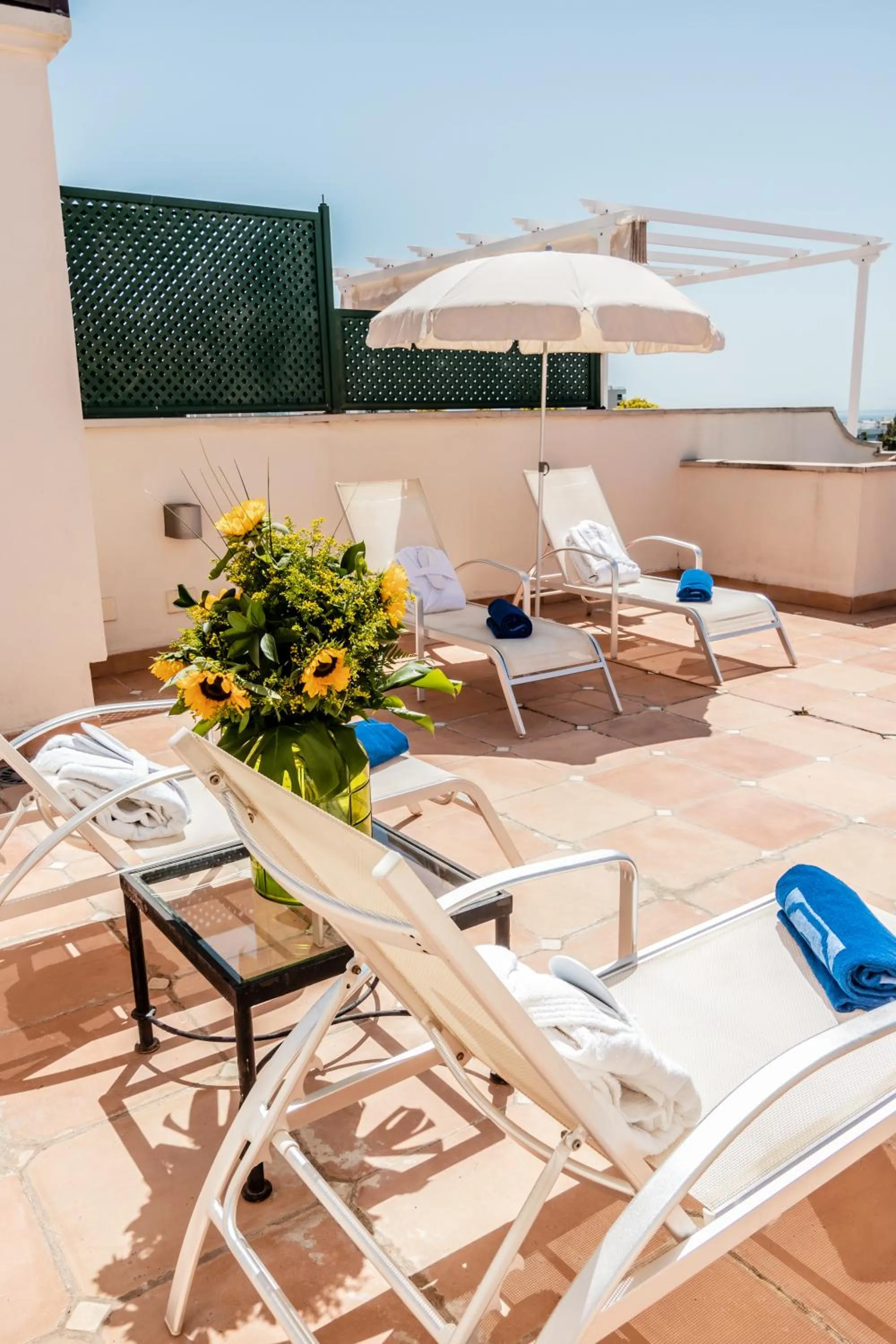 Patio in Guadalpin Suites