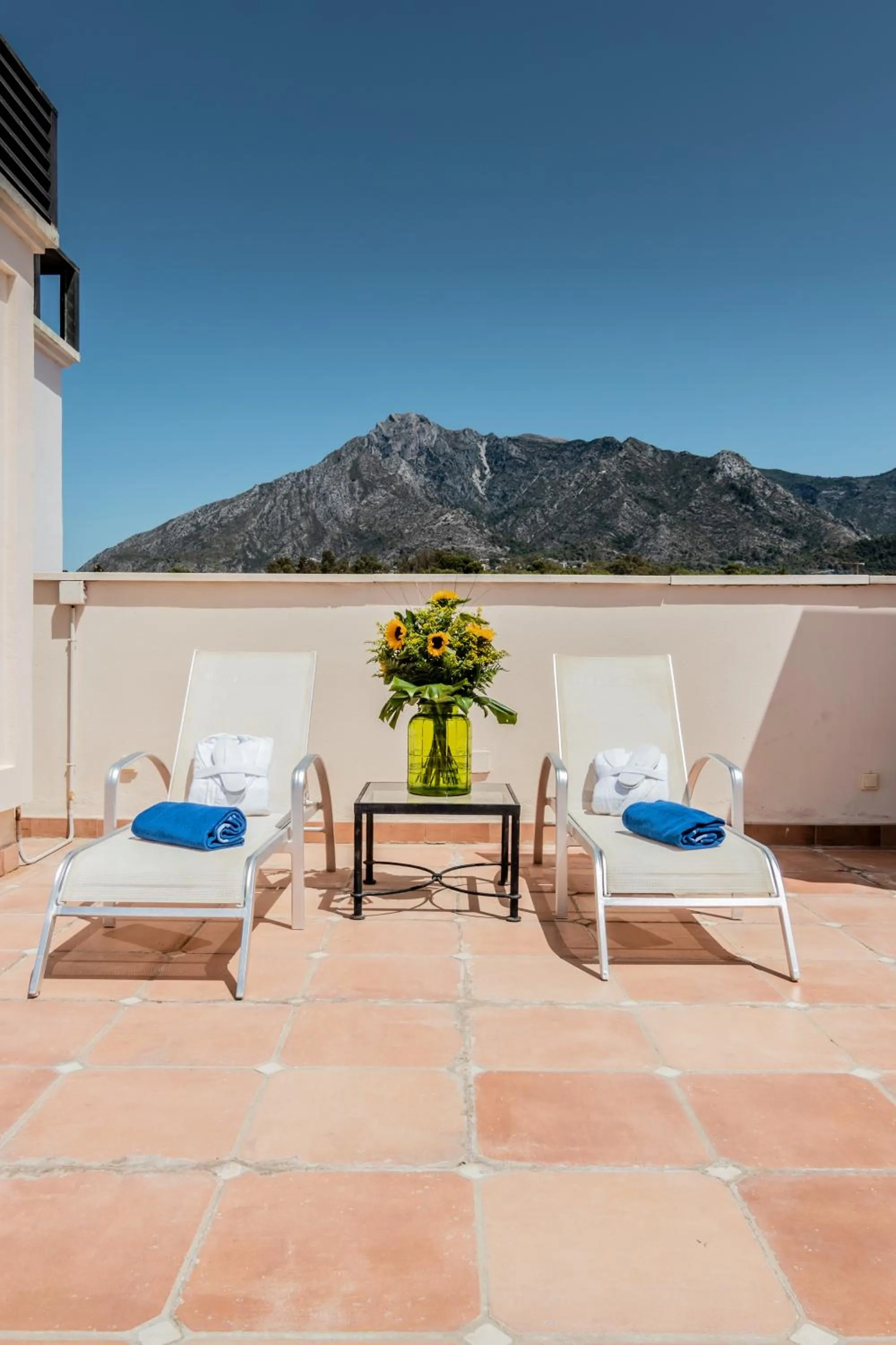 Solarium in Guadalpin Suites