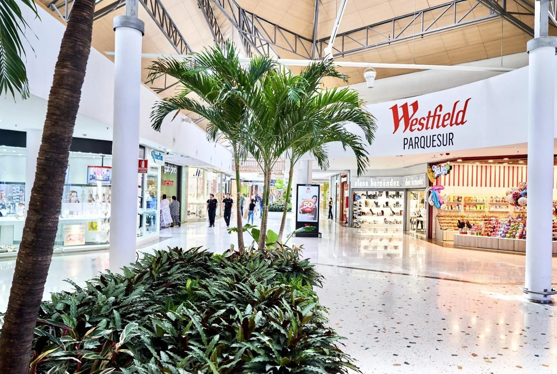 Shopping Area in Parquesur