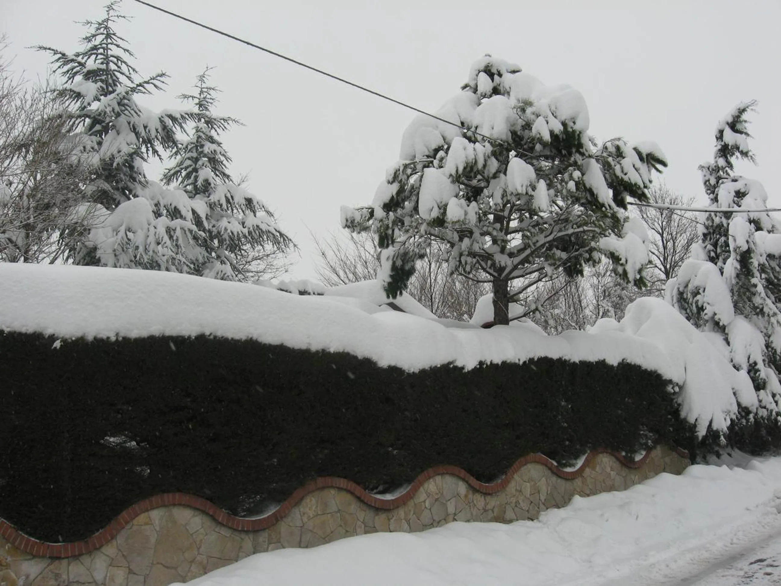 Street view in Parco Sogni d'Oro