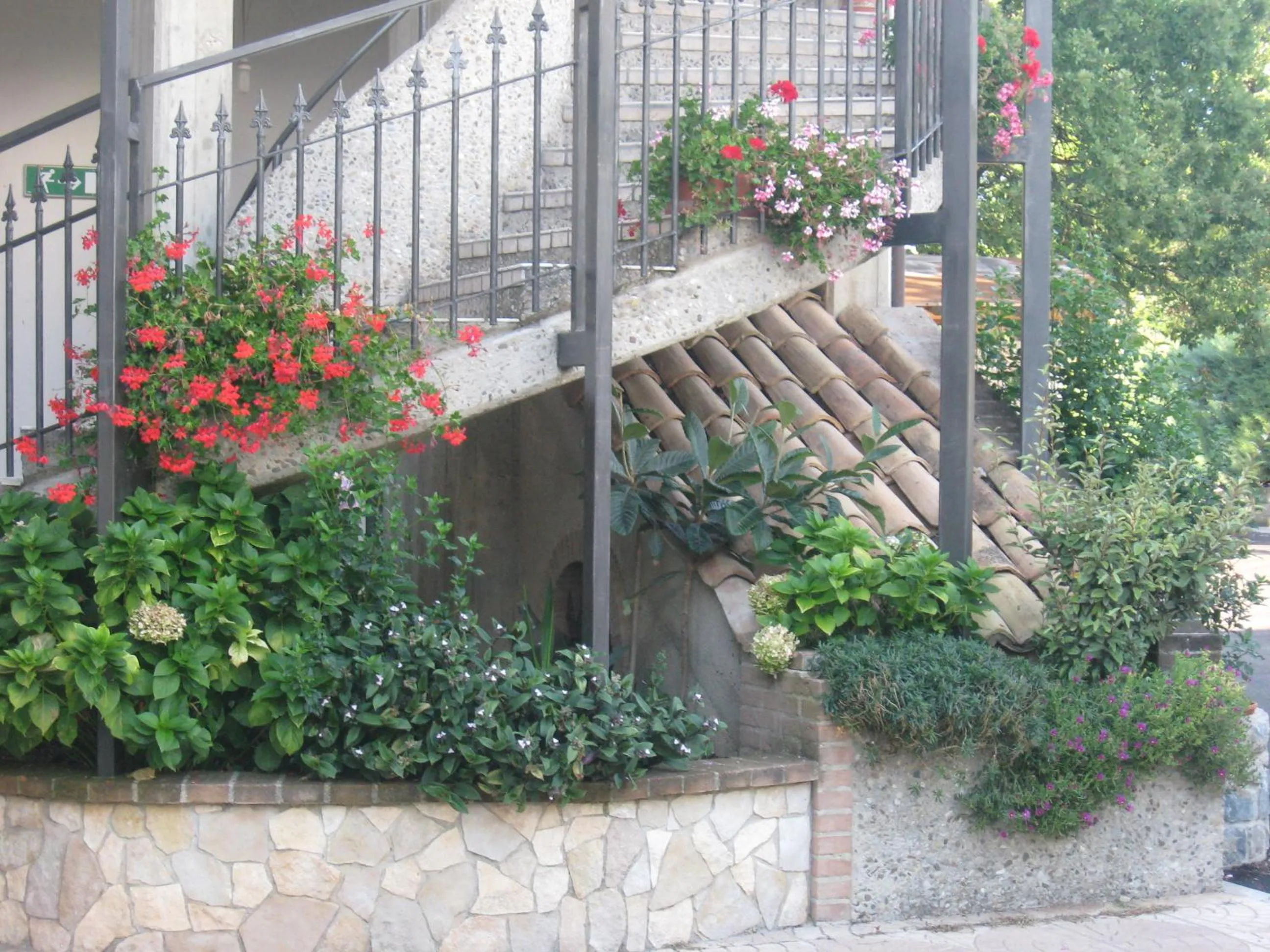 View (from property/room) in Parco Sogni d'Oro