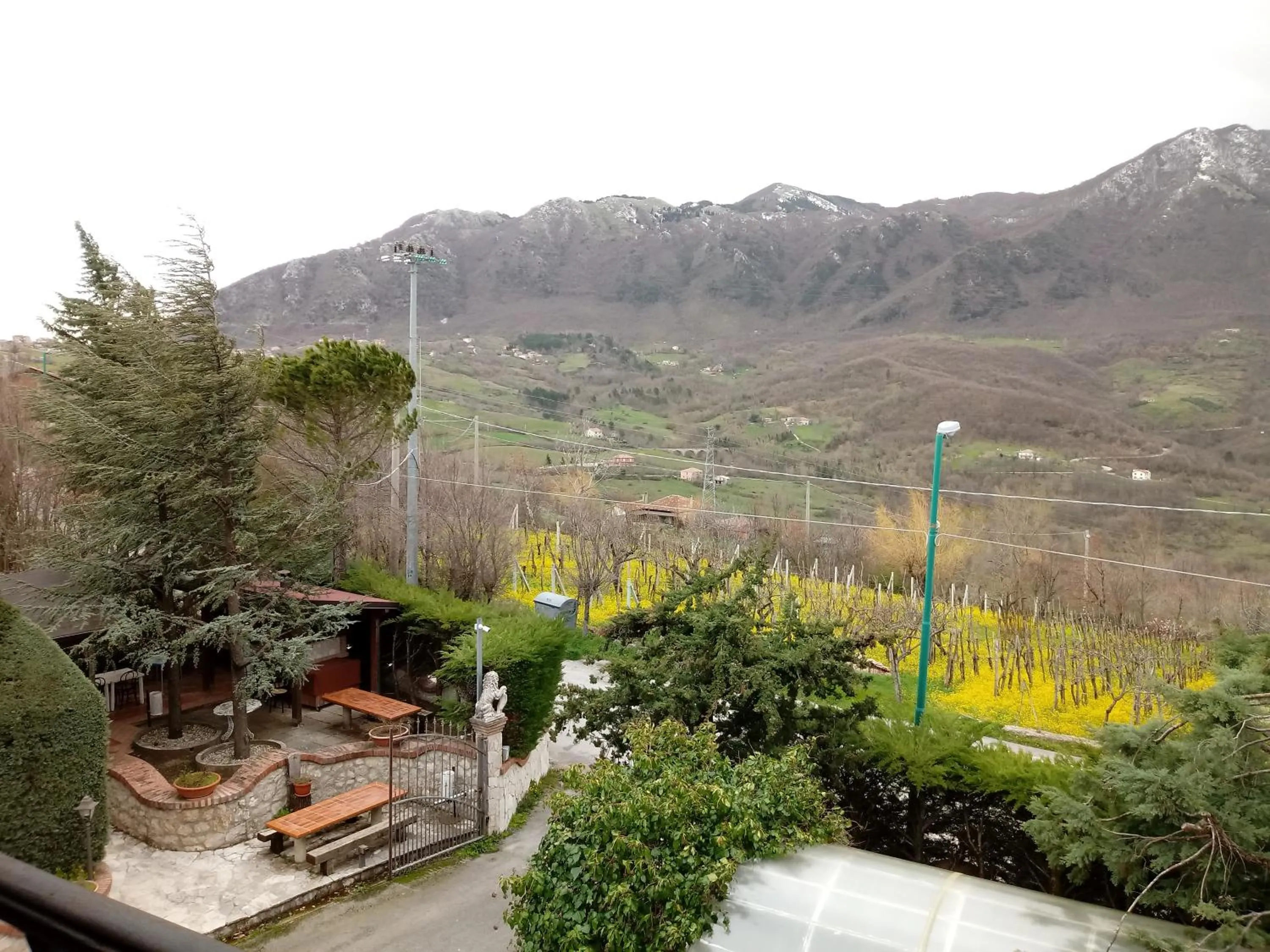 View (from property/room) in Parco Sogni d'Oro