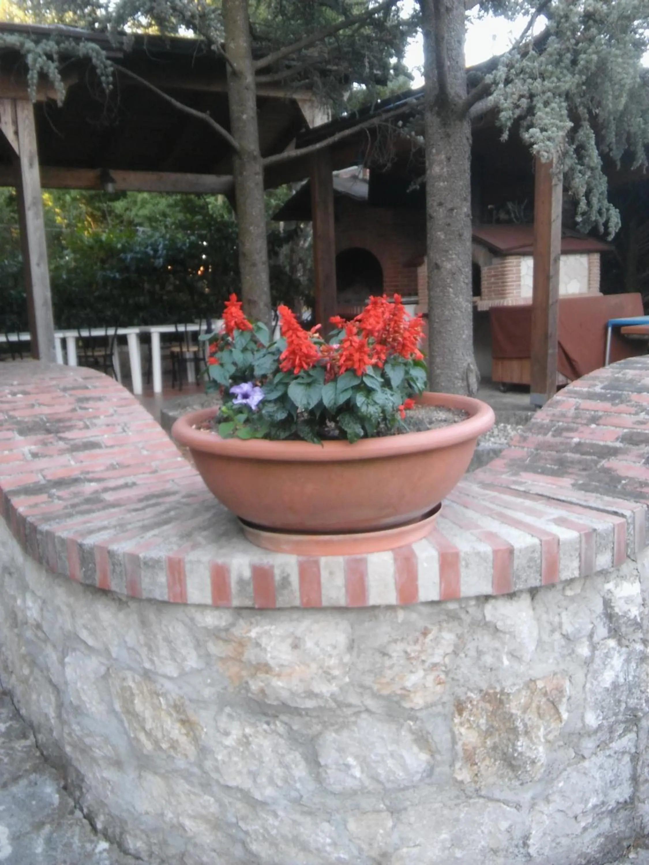 Garden view in Parco Sogni d'Oro