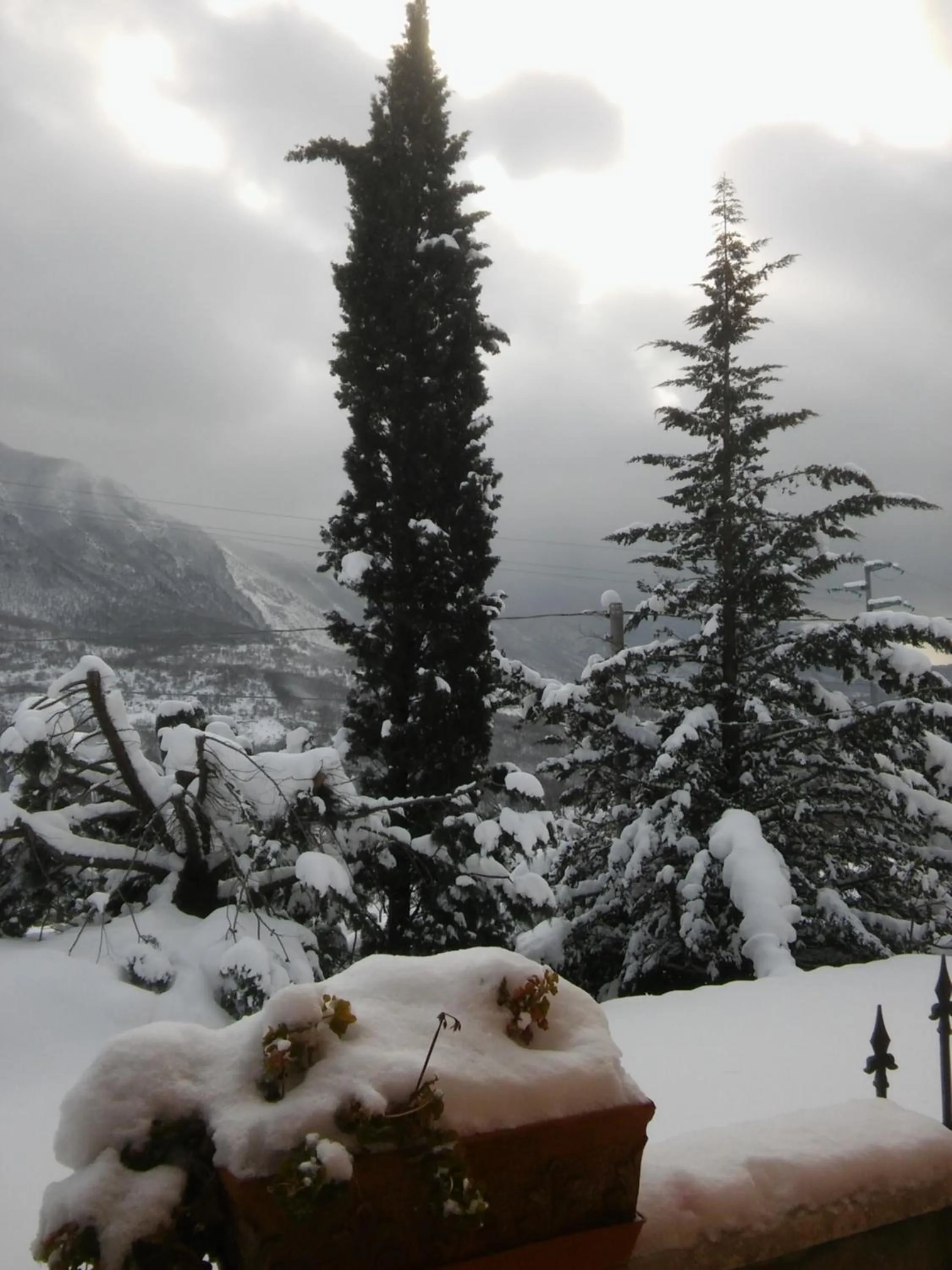 Balcony/Terrace in Parco Sogni d'Oro
