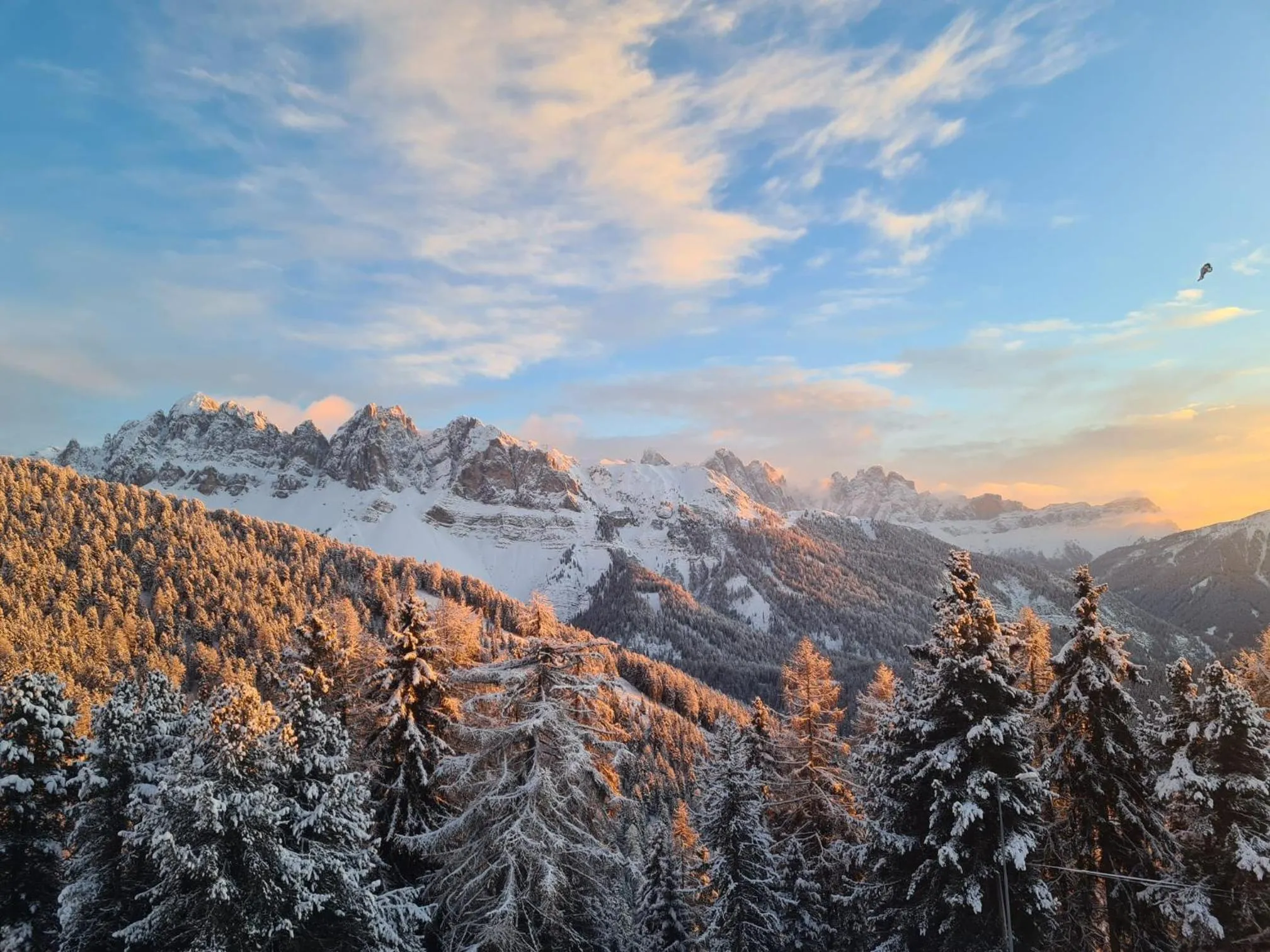 Mountain view in PLOSE Parkhotel & Residence