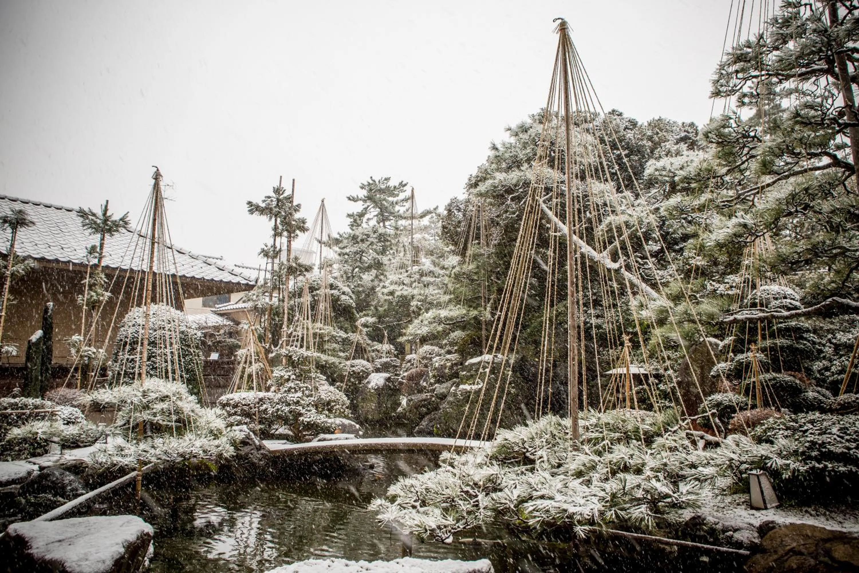 Property building in Hotel Yagi