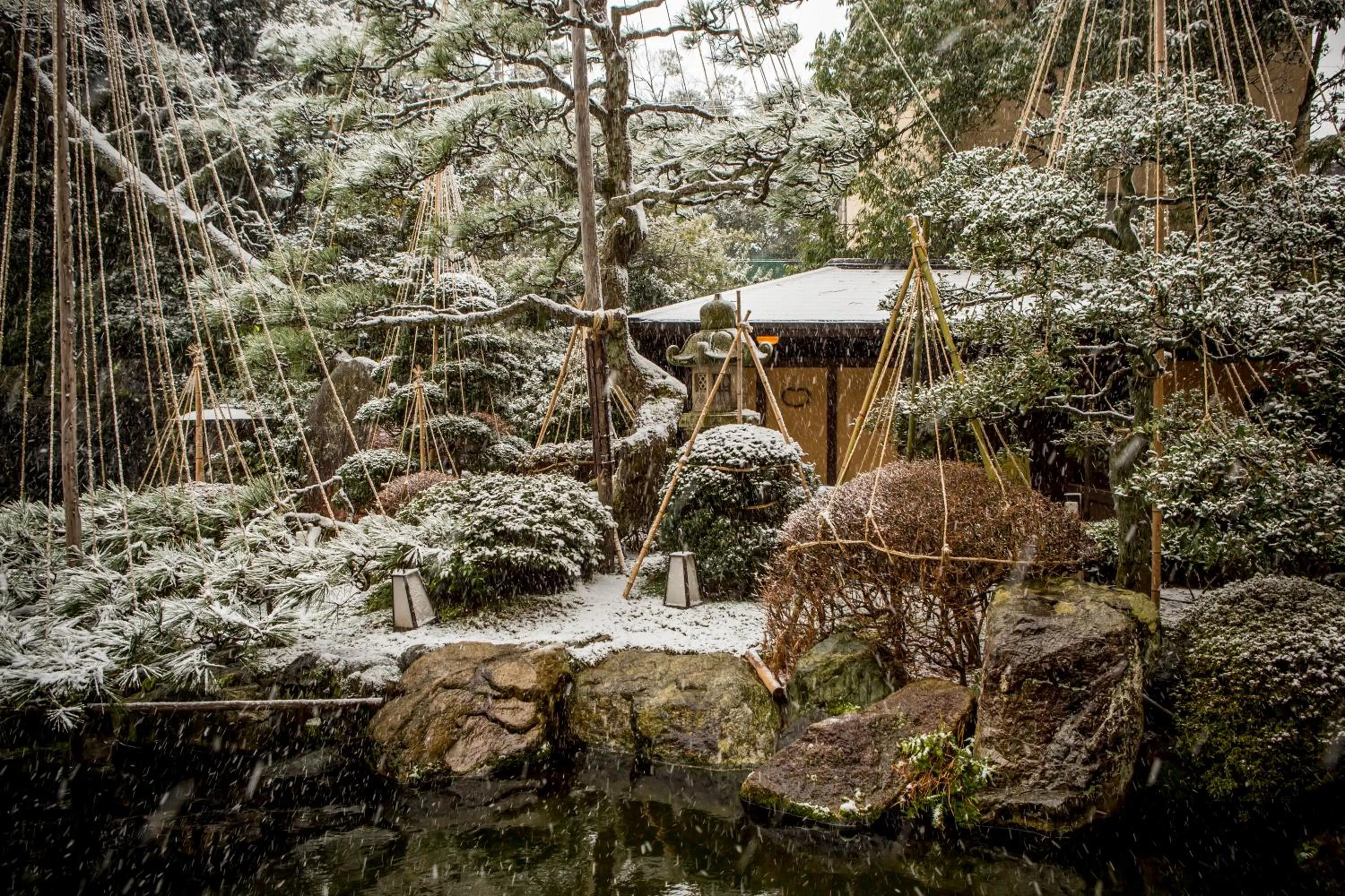 Property building in Hotel Yagi