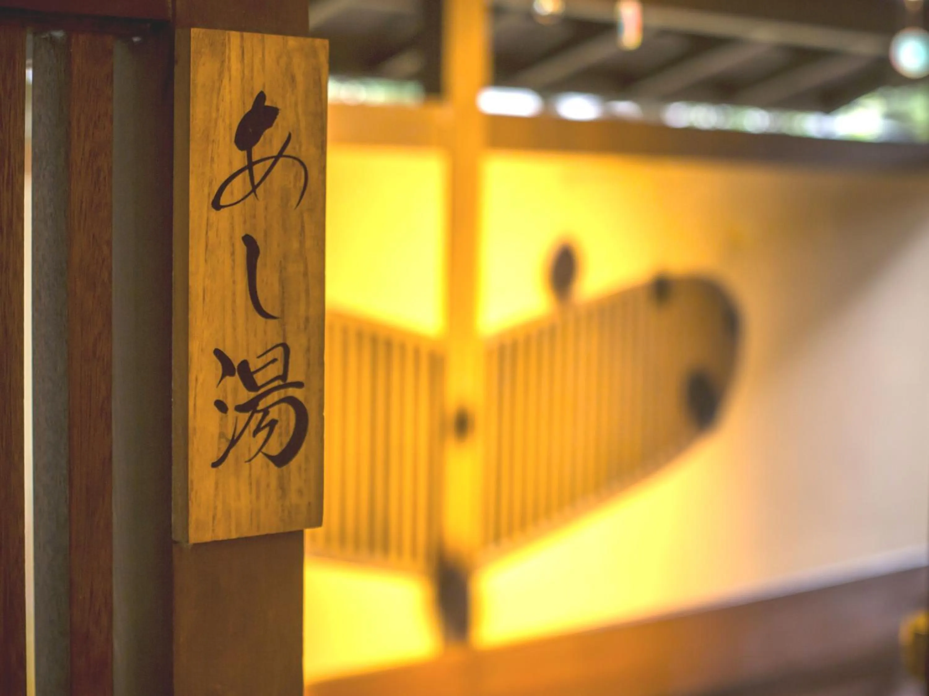 Hot Spring Bath in Hotel Yagi