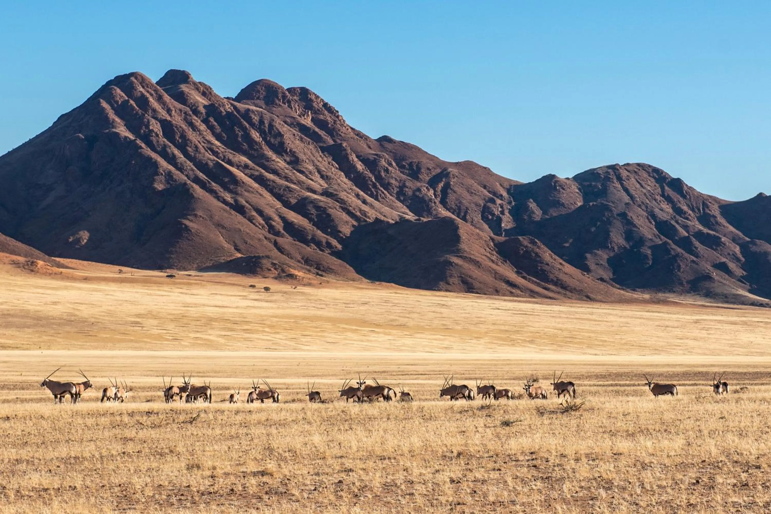 Natural landscape in Le Mirage Resort & Spa