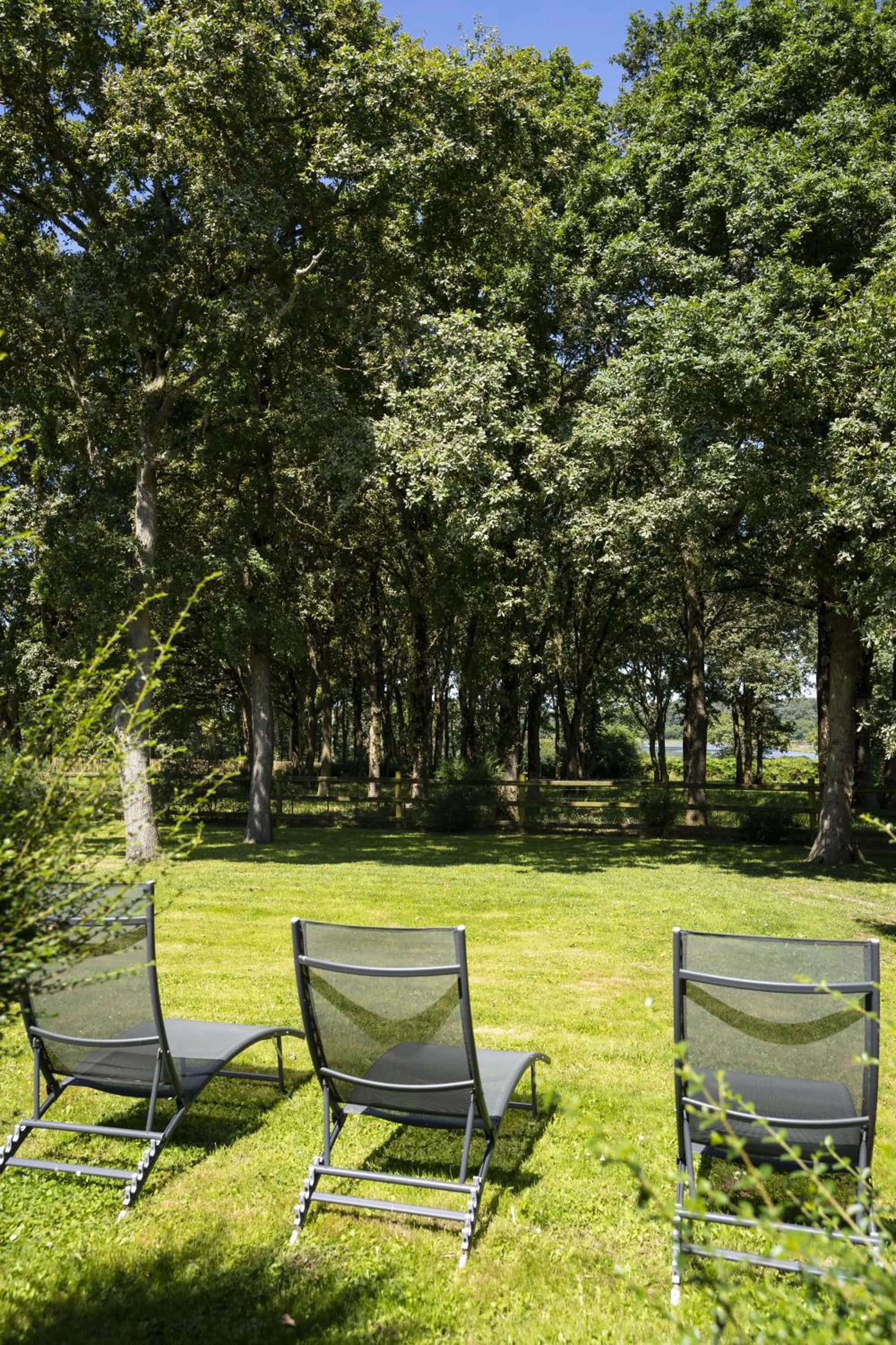 Balcony/Terrace in La Balade des Marais