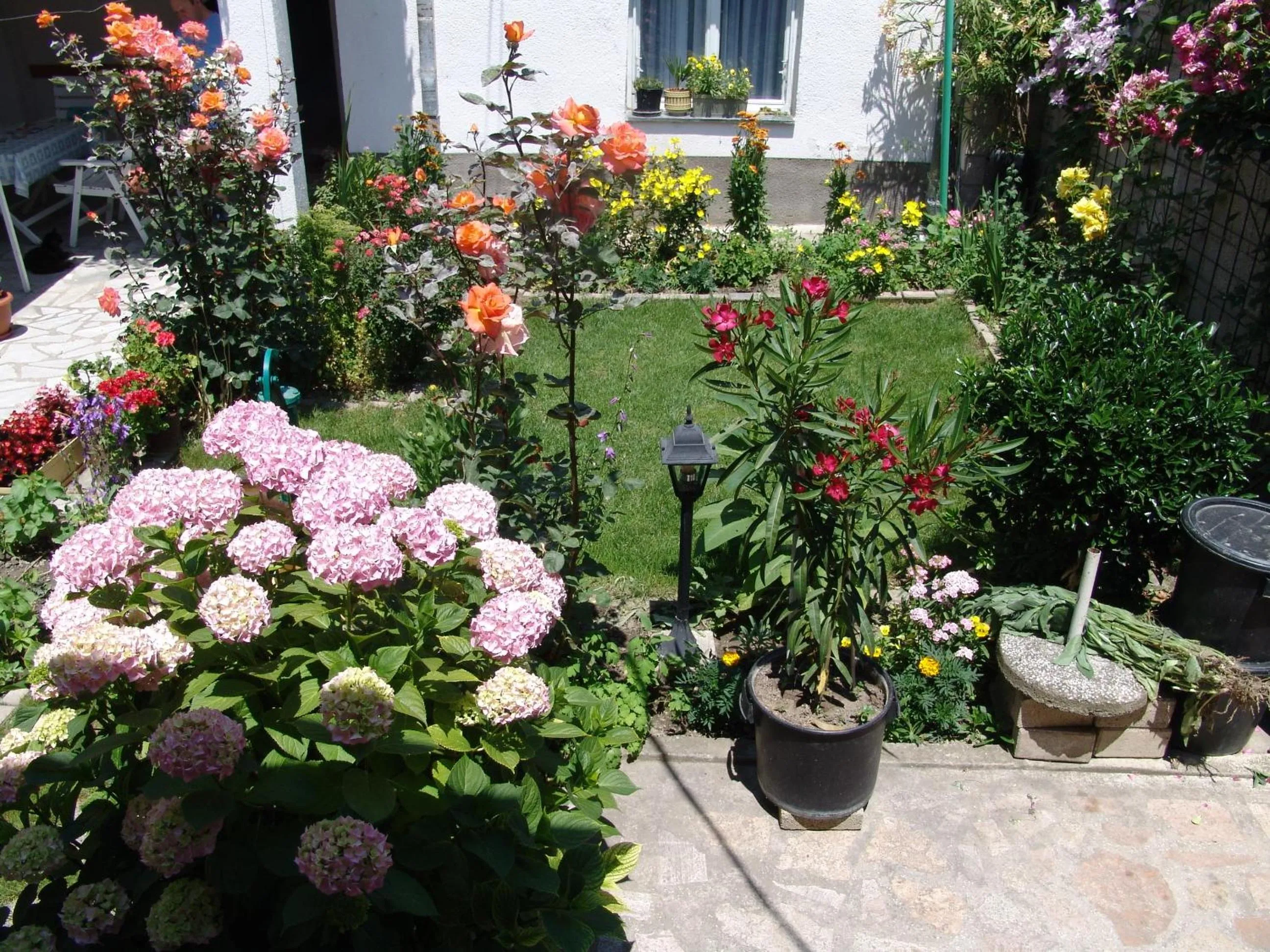 Garden in Bogdanoski Studios & Guest Rooms