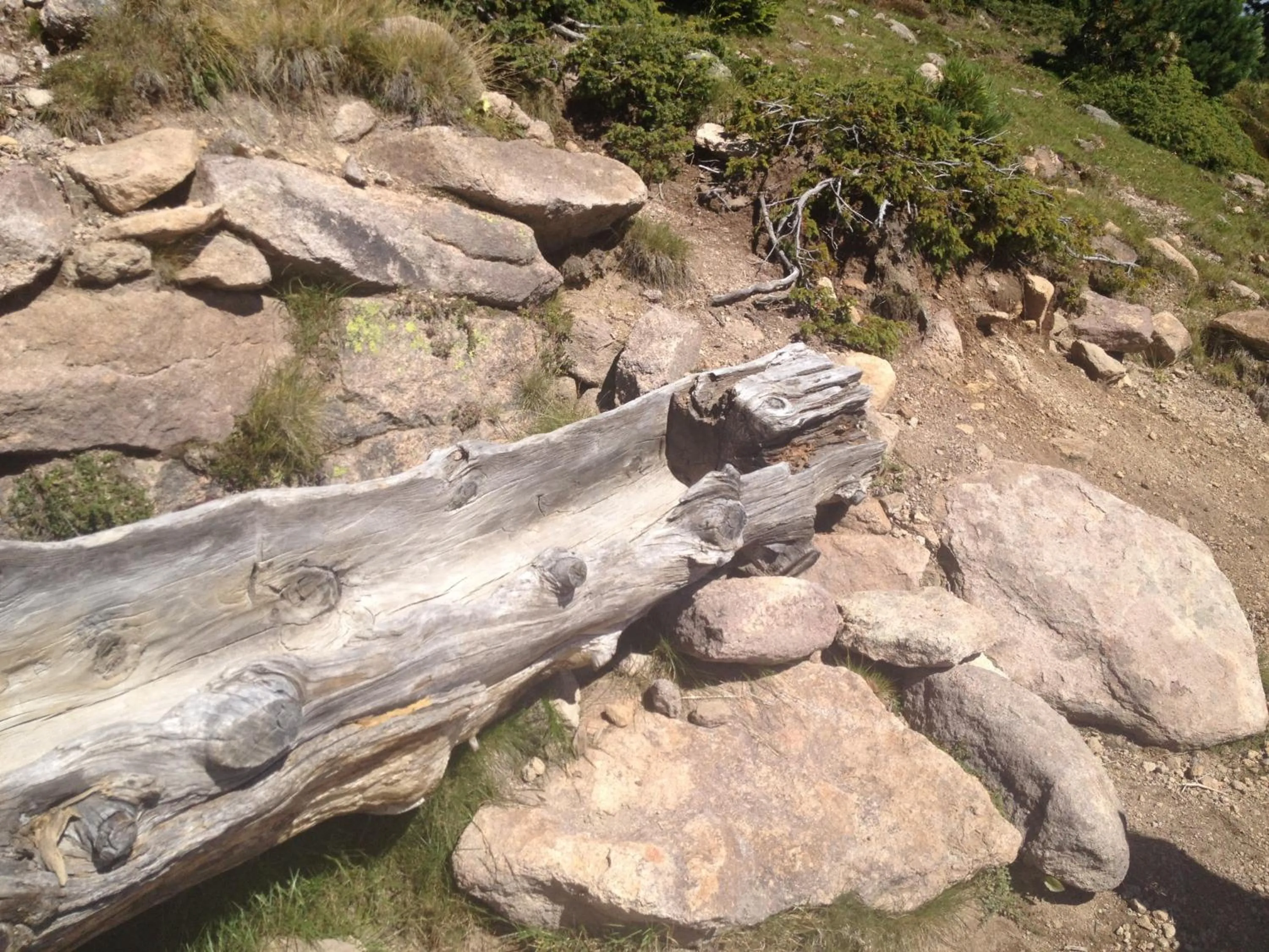 Day in Residence Magdalena