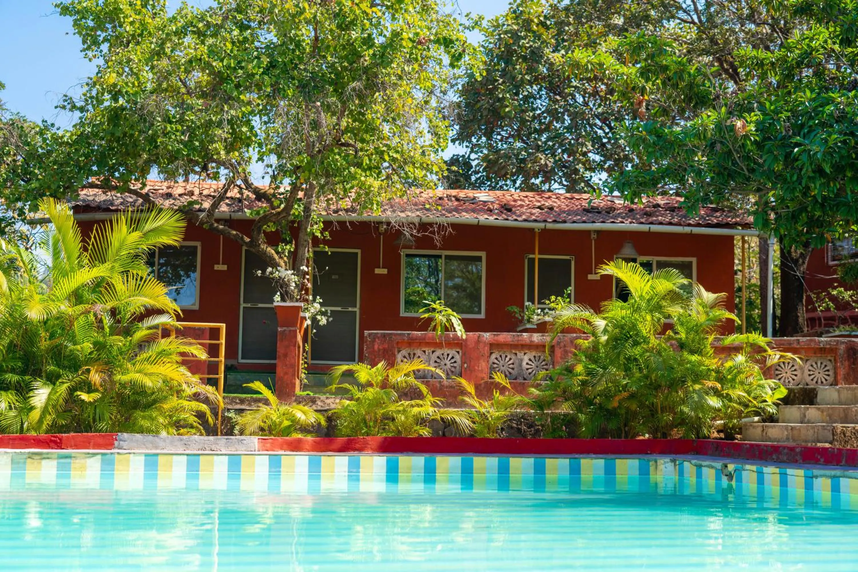 Swimming pool in Wild Camp- The Nature Resort