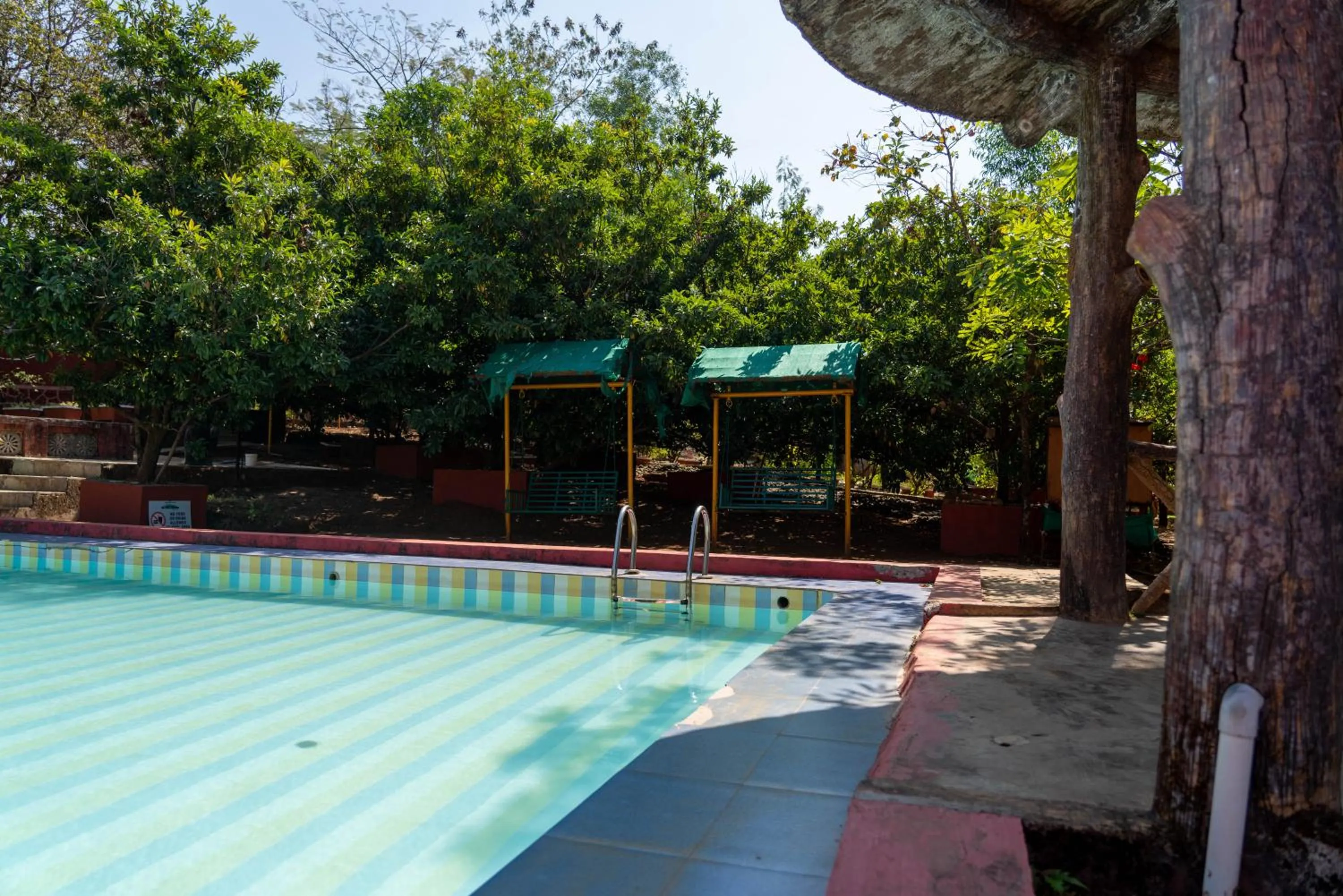 Swimming pool in Wild Camp- The Nature Resort