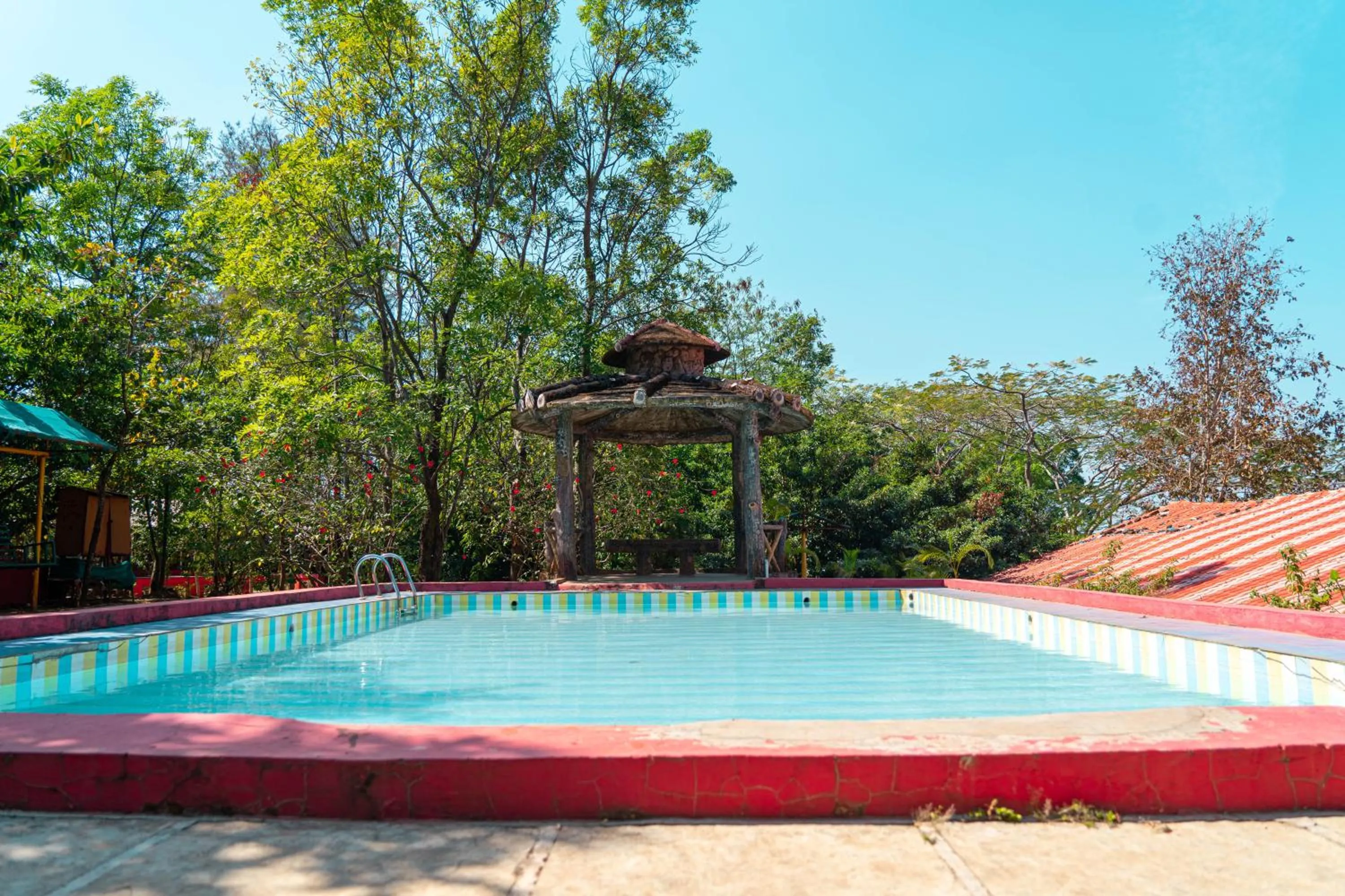 Swimming pool in Wild Camp- The Nature Resort