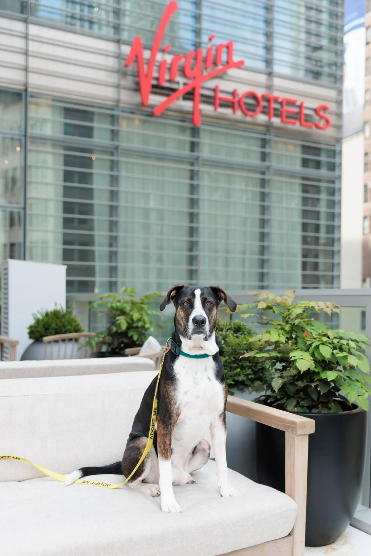 Patio in Virgin Hotels New York City