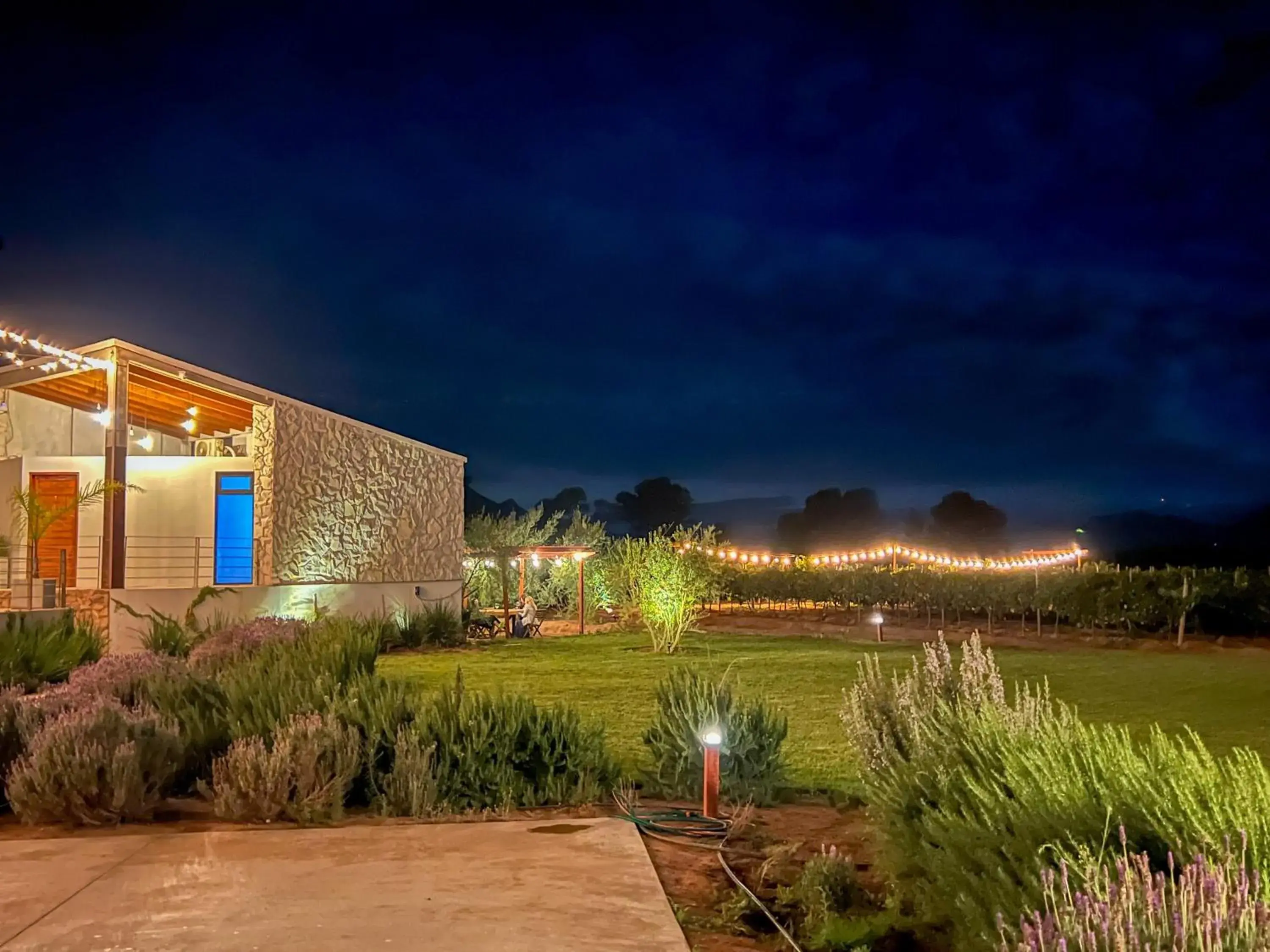 Deluxe King Suite in Viñedo Casa la Noria Deluxe King Suite in Viñedo Casa la Noria