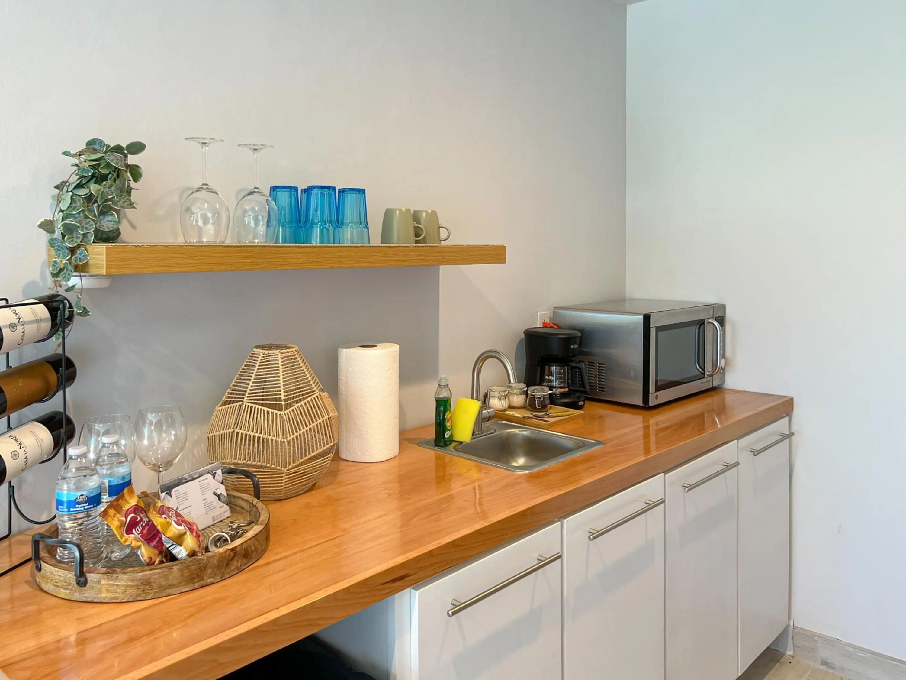 Viñedo Casa la Noria