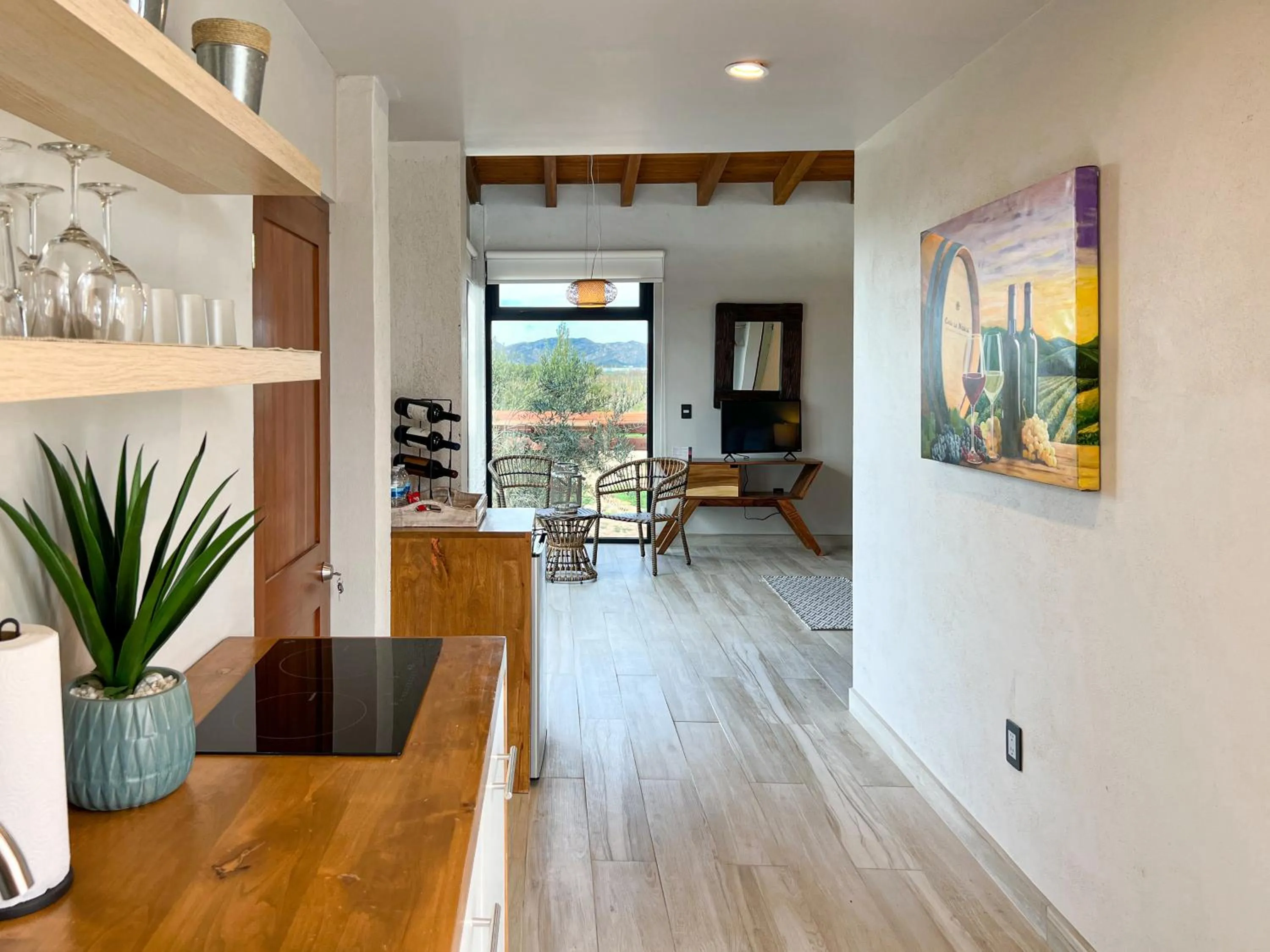 Viñedo Casa la Noria