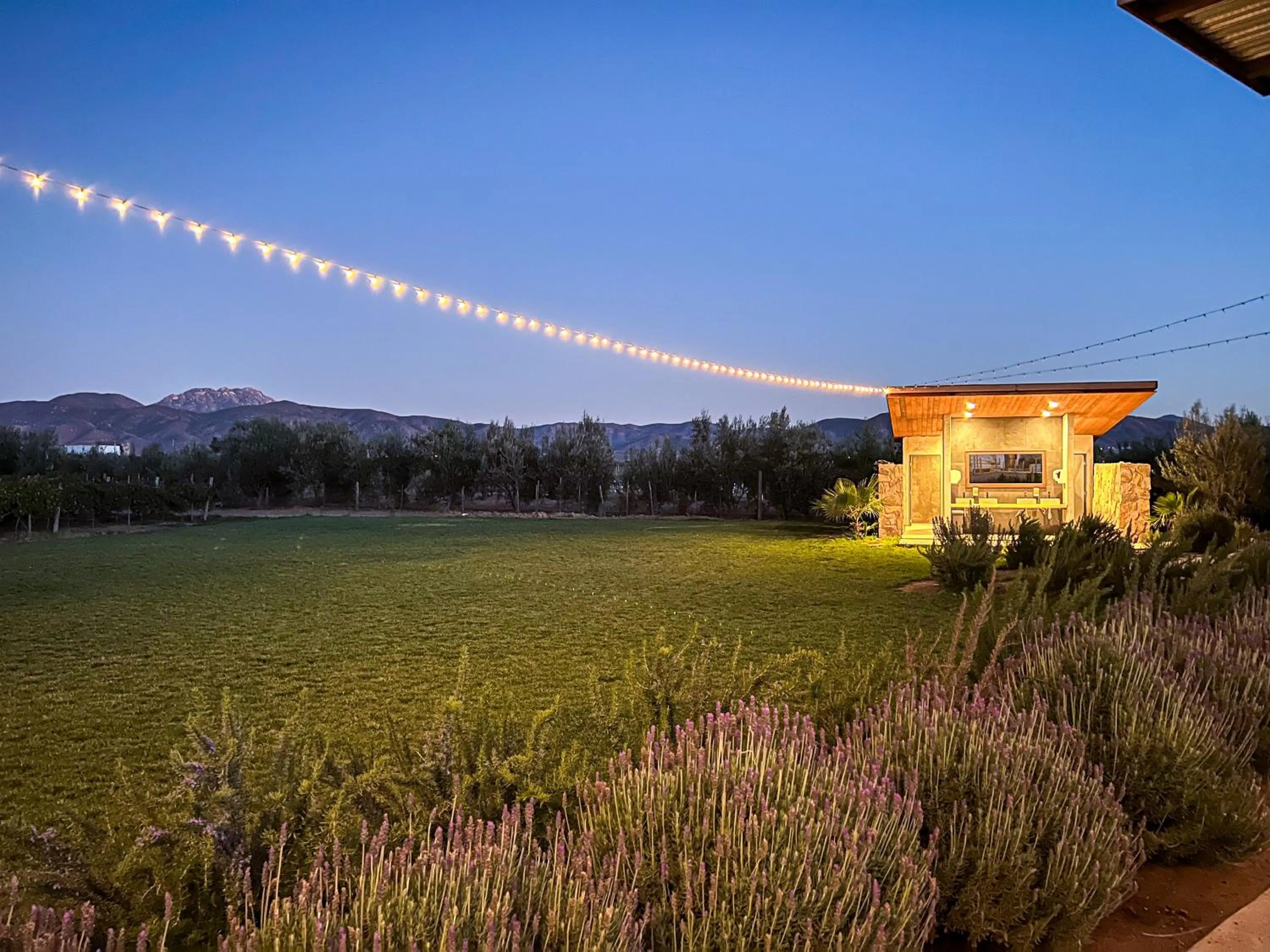 Garden in Viñedo Casa la Noria
