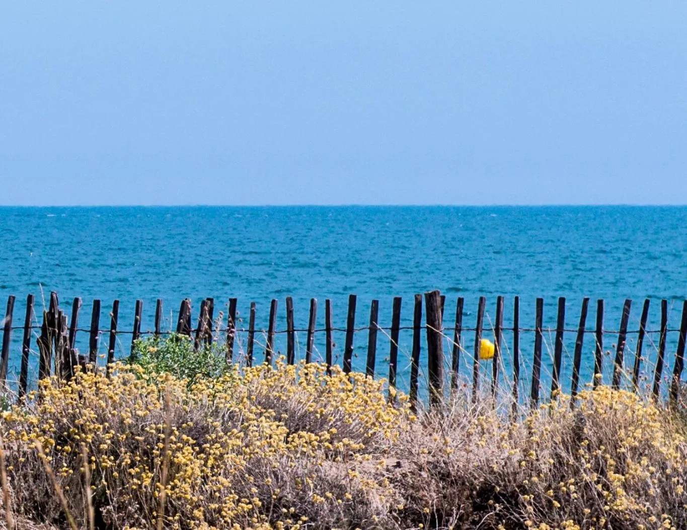Natural landscape in Les Tamaris et Les Portes du Soleil