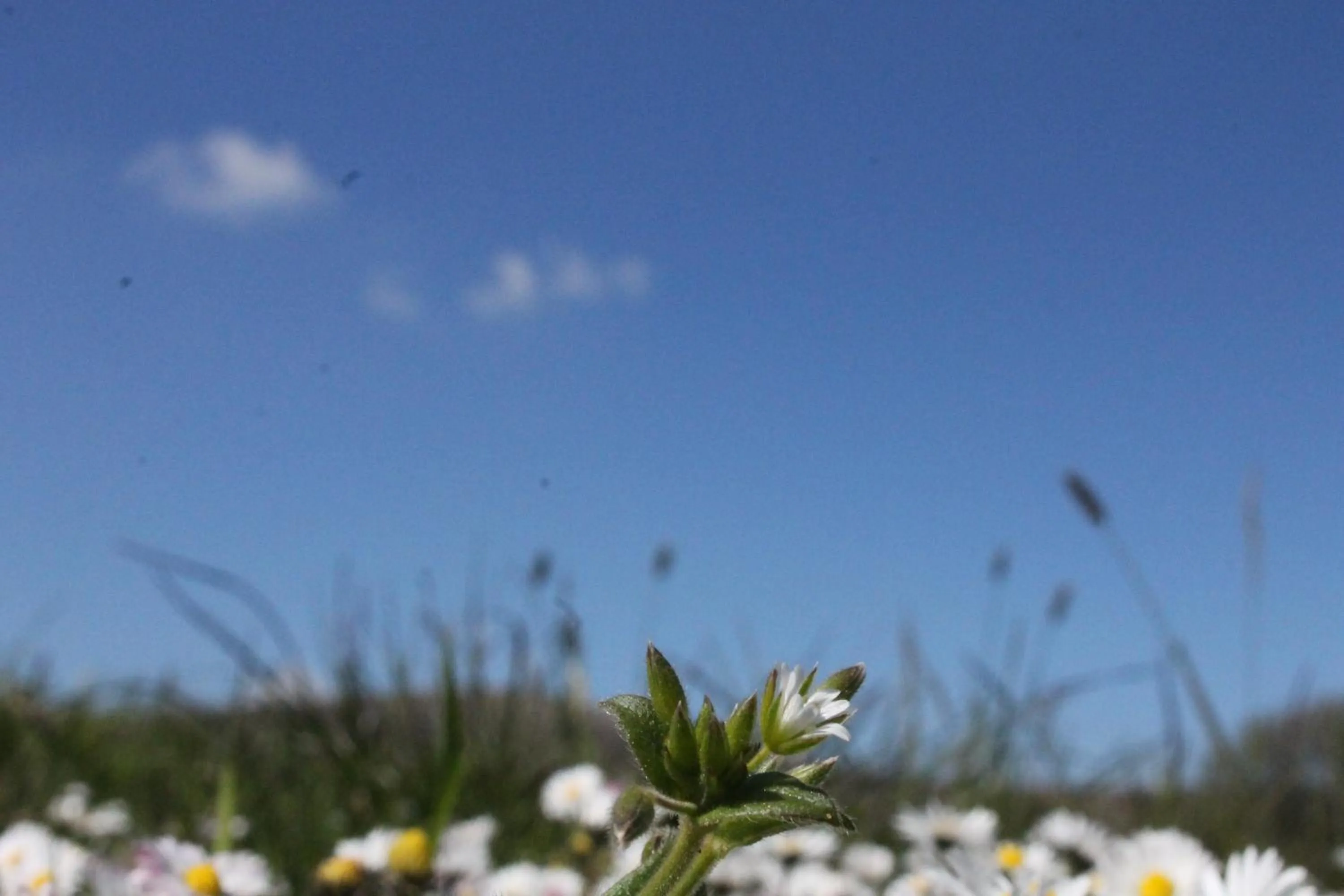 Property building in Brynhaul Bed and Breakfast