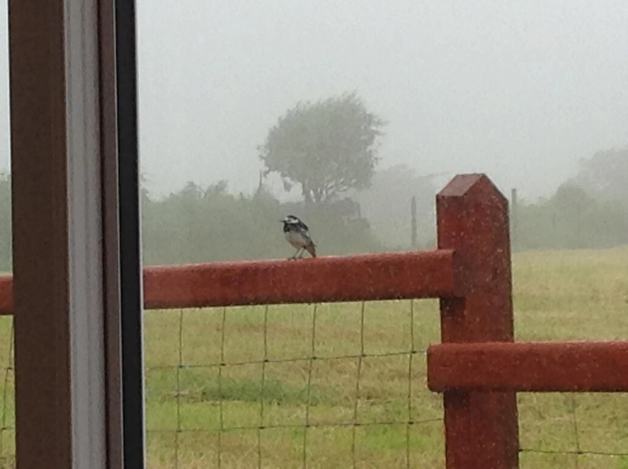 Property building in Brynhaul Bed and Breakfast