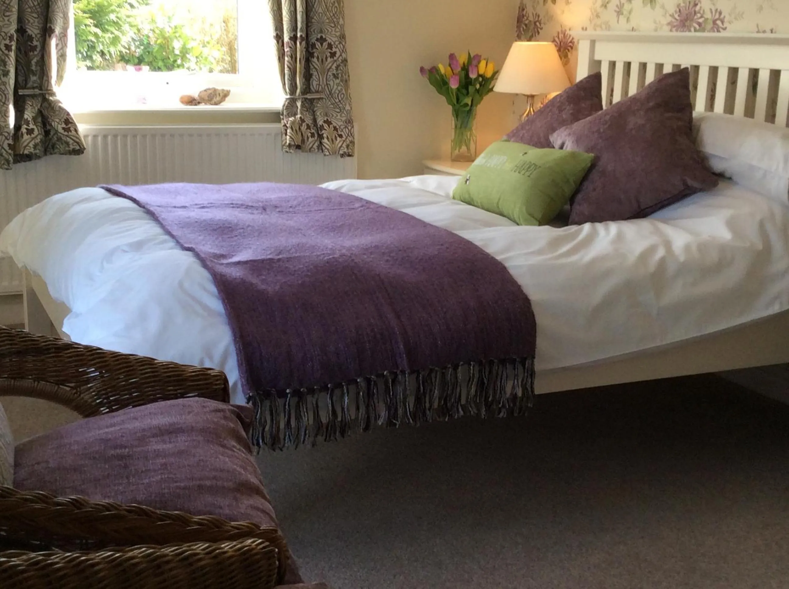 Brynhaul Bed and Breakfast